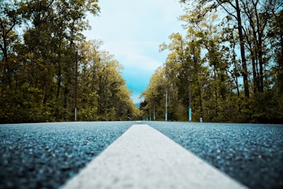 a road with a white line going through a forest