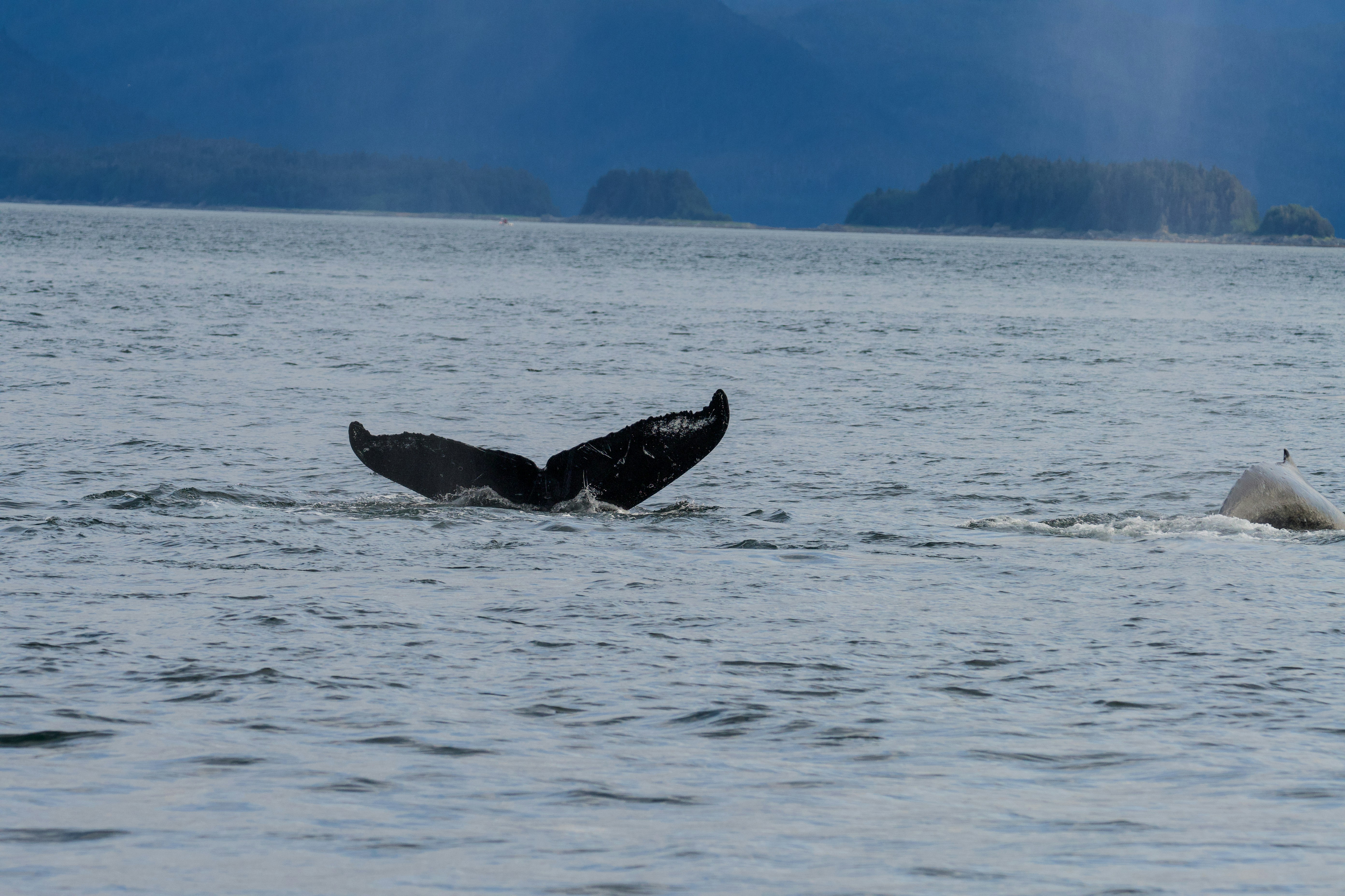 Photo by jackcharles