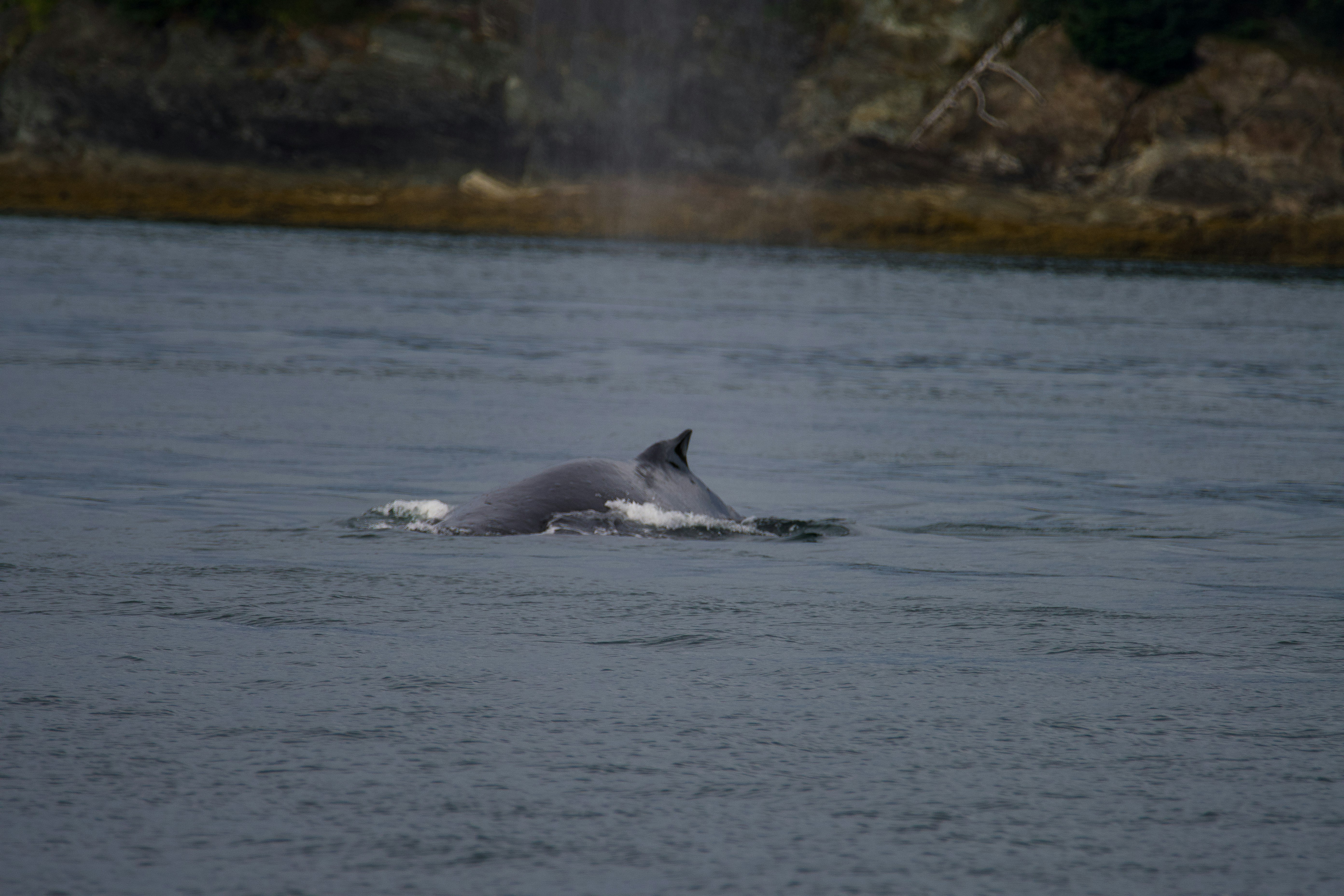 Photo by jackcharles