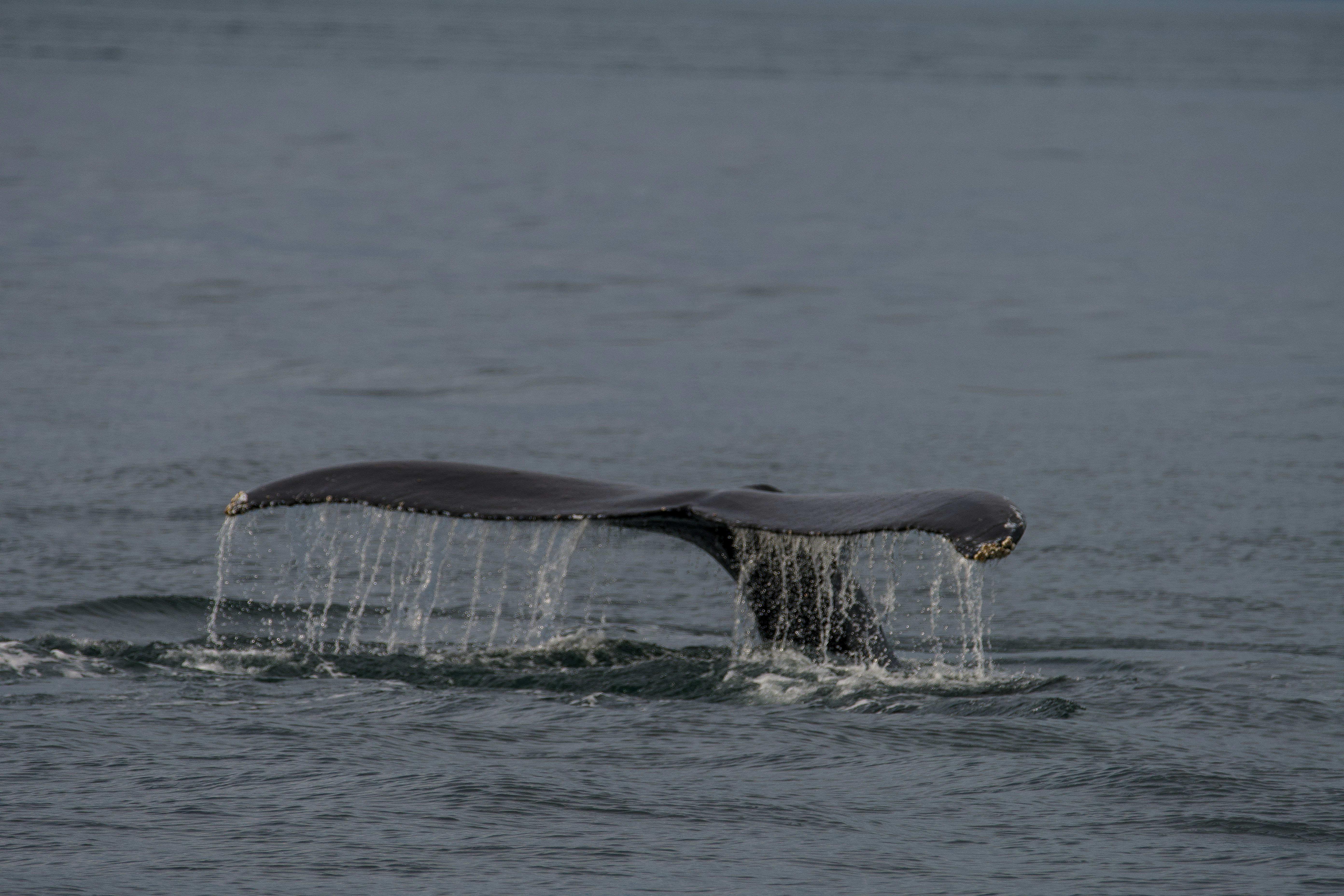 Photo by jackcharles