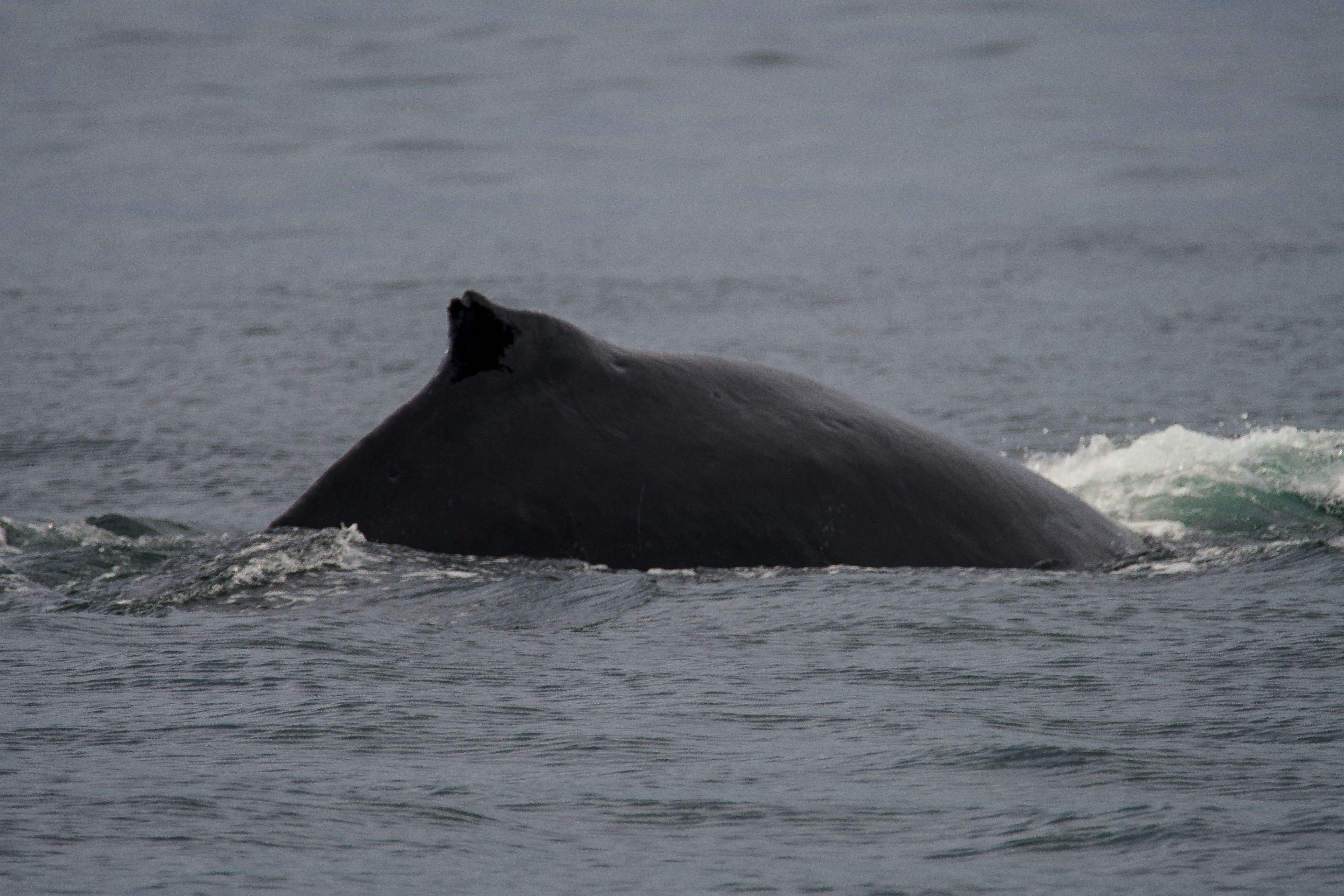 Photo by jackcharles