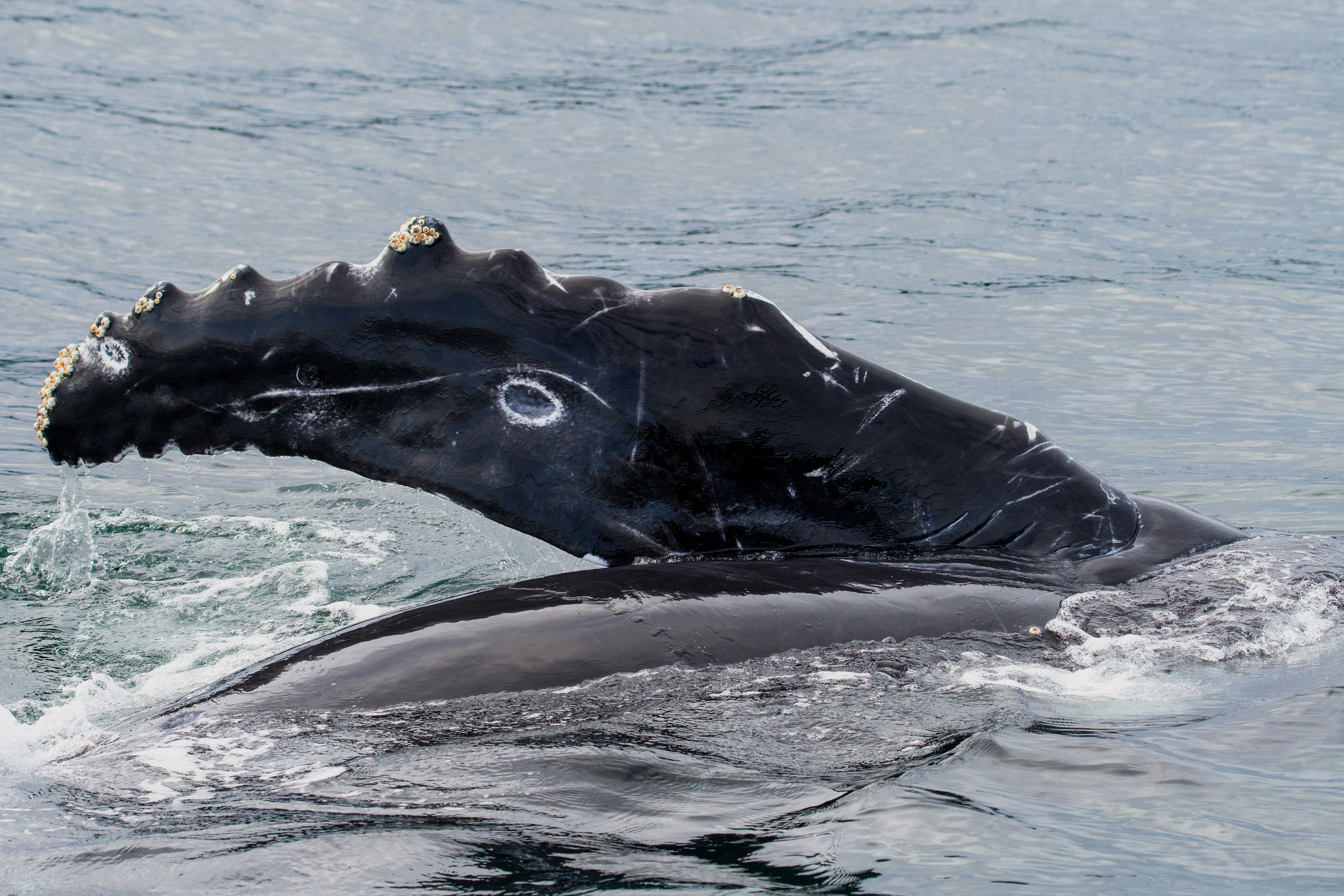 Photo by jackcharles