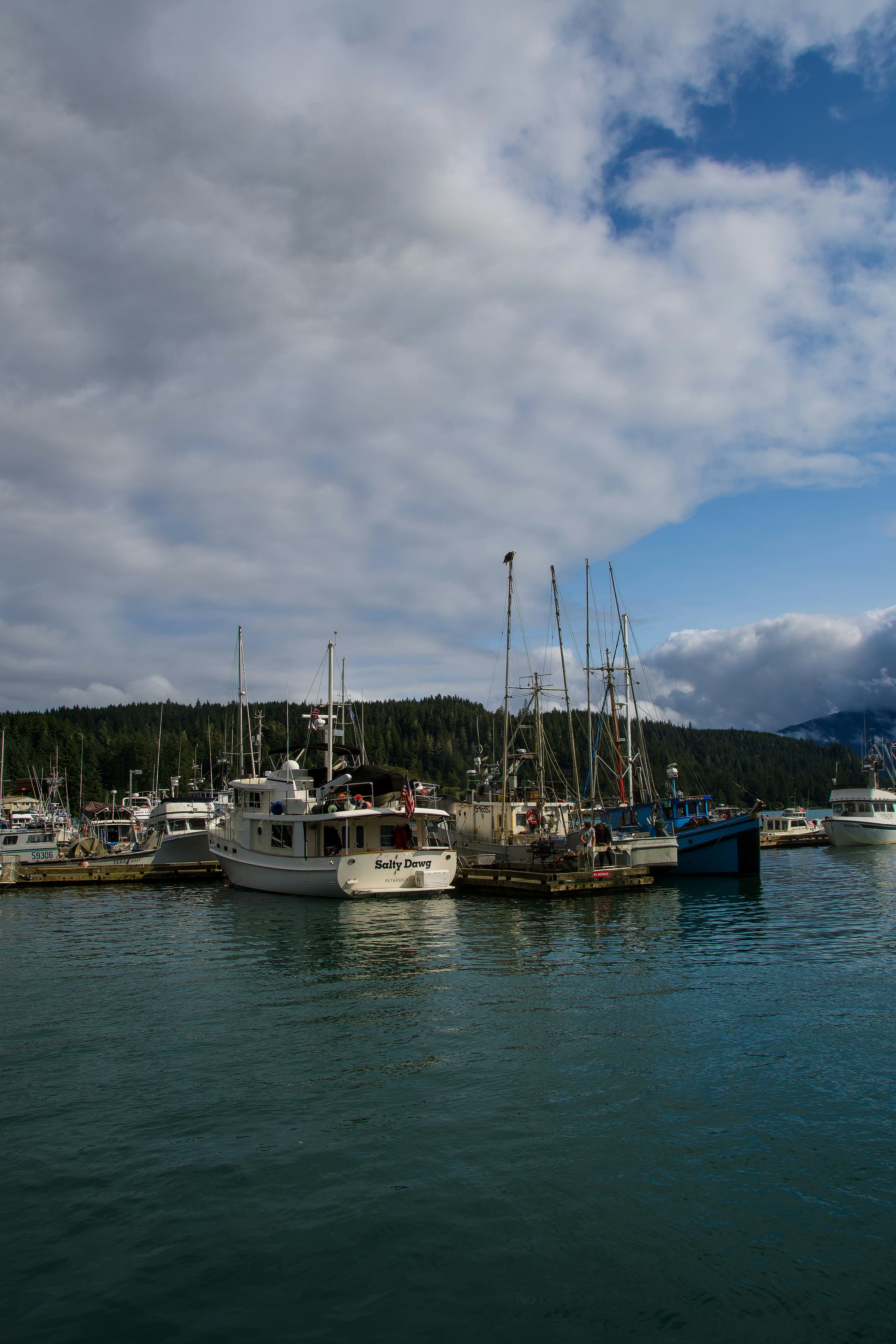 Photo by jackcharles