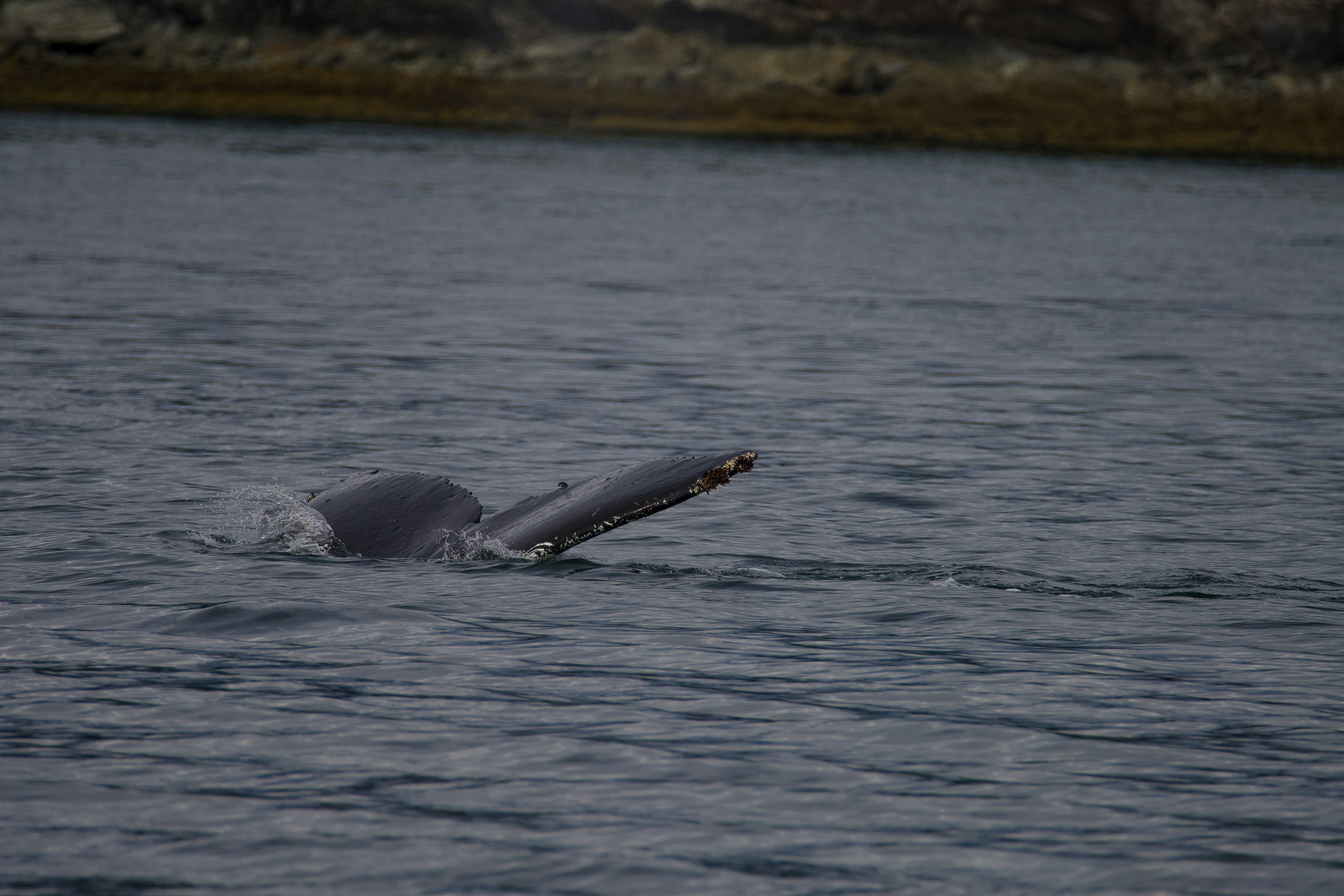 Photo by jackcharles