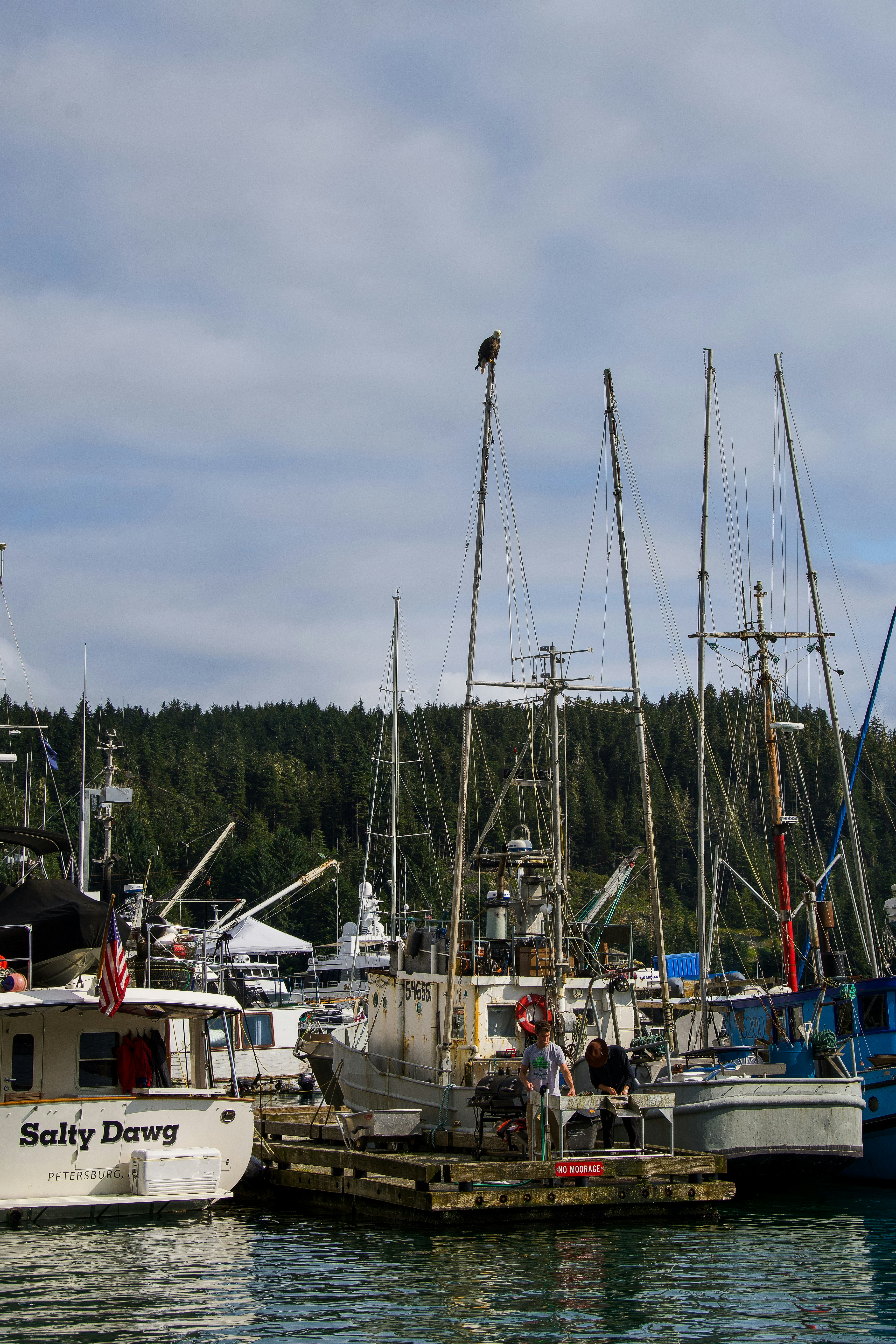 Photo by jackcharles