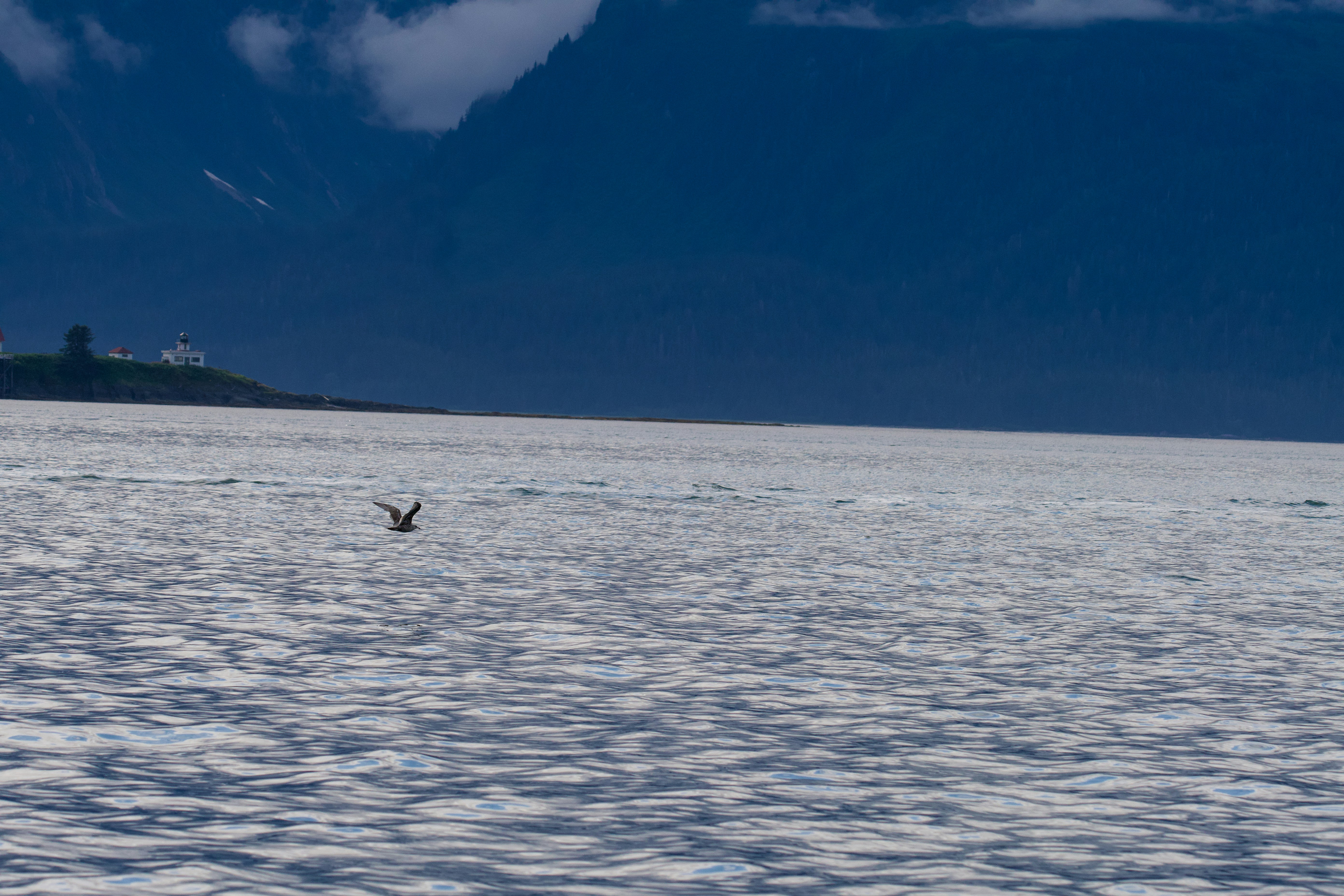 Photo by jackcharles