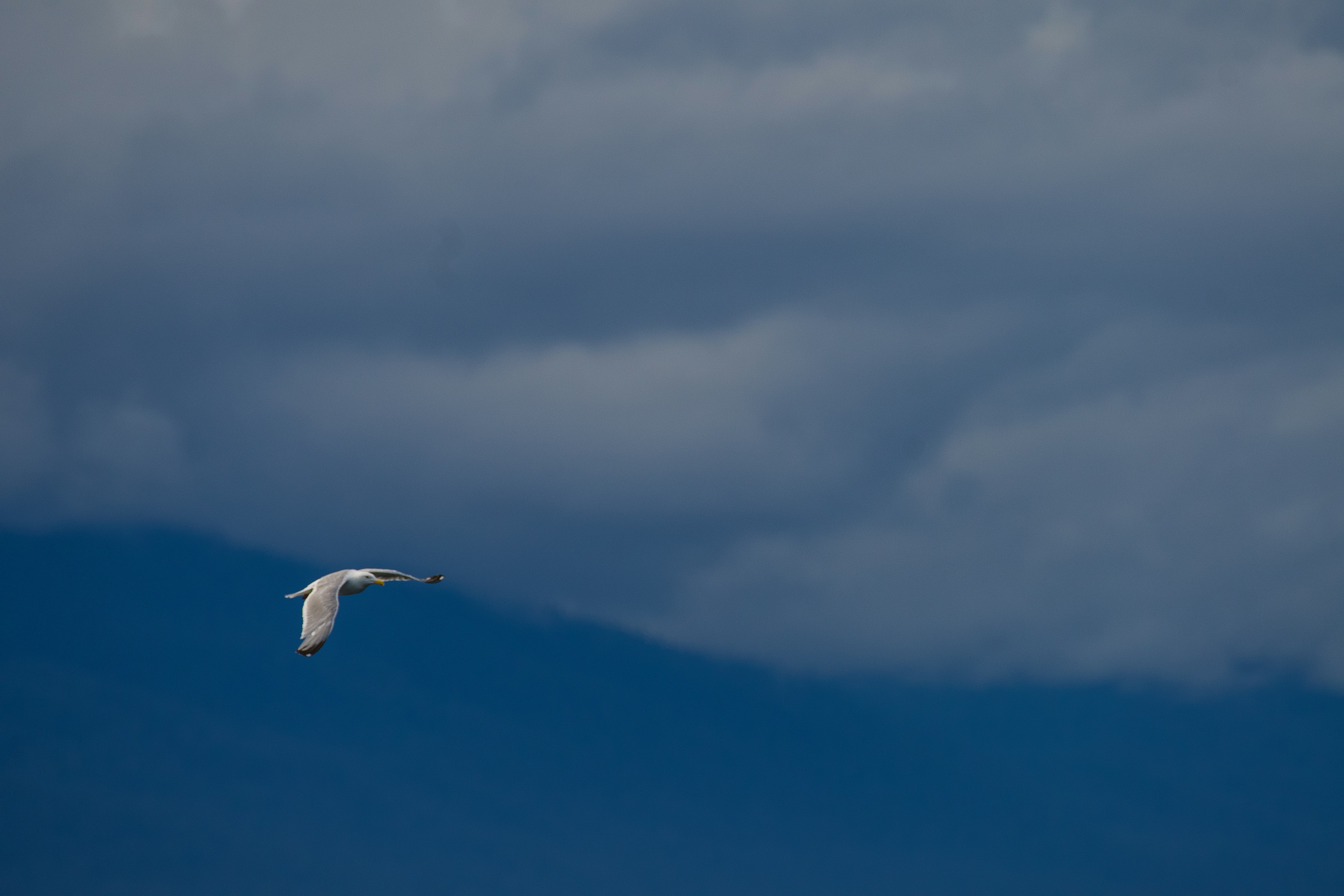 Photo by jackcharles