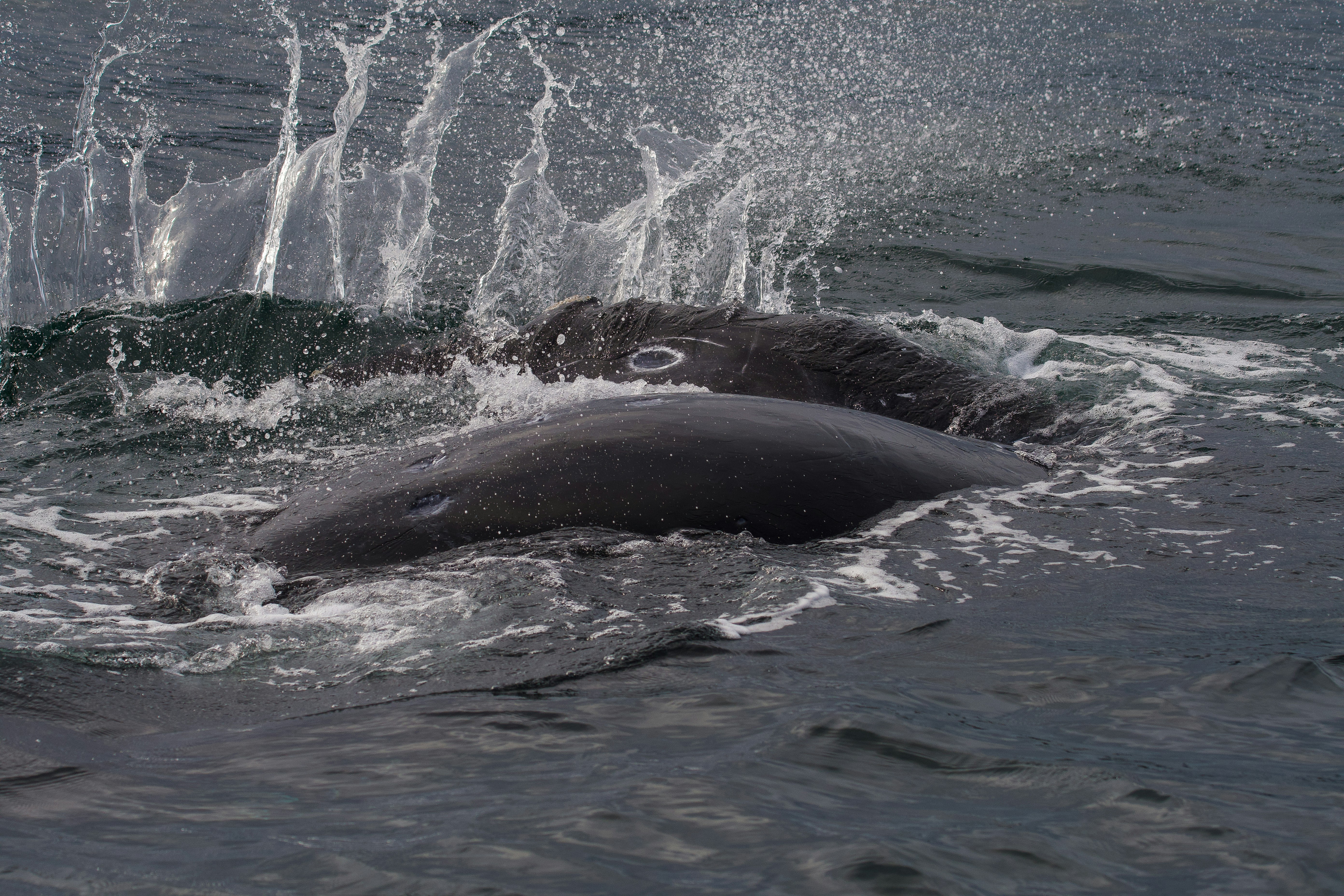 Photo by jackcharles