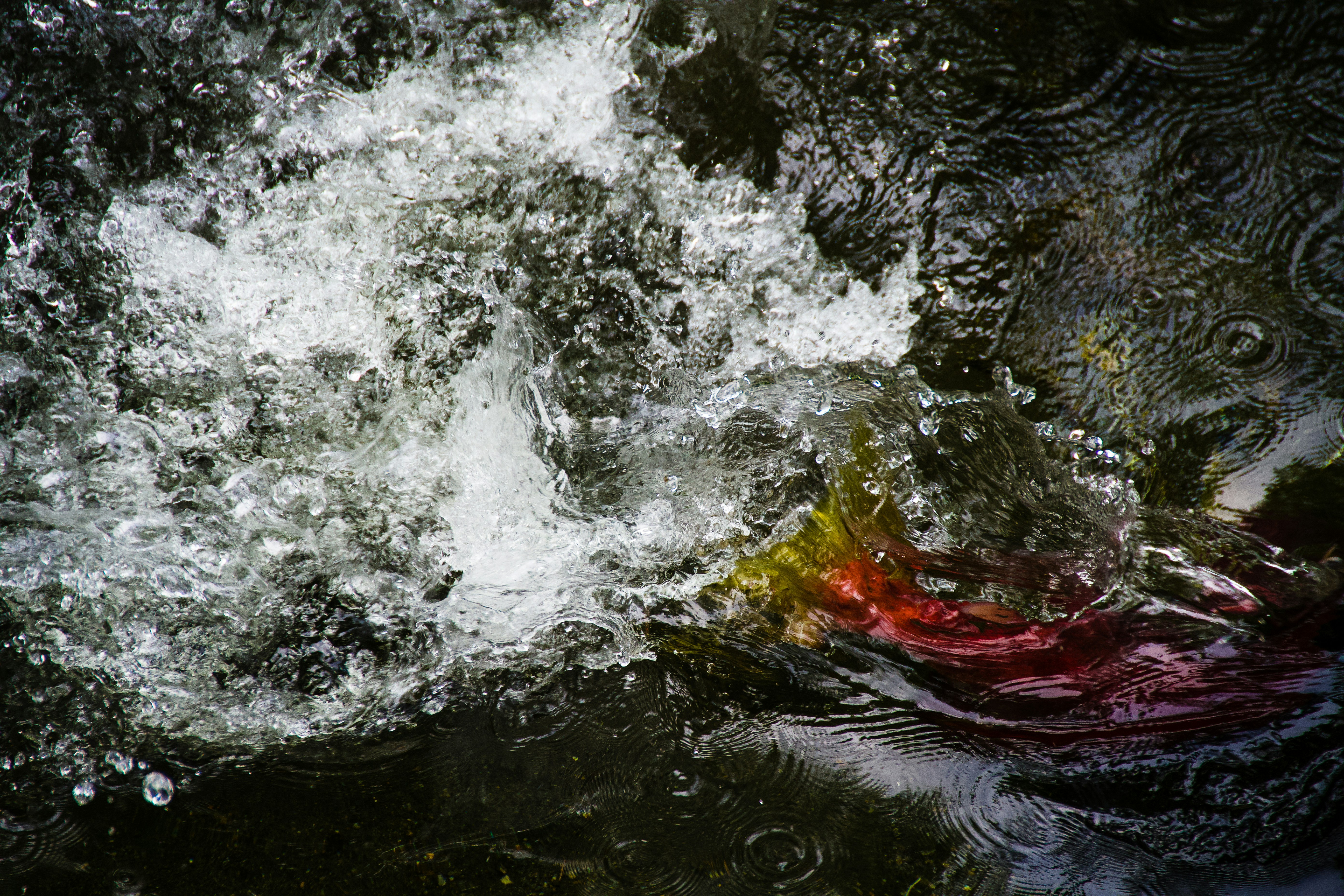 Photo by jackcharles