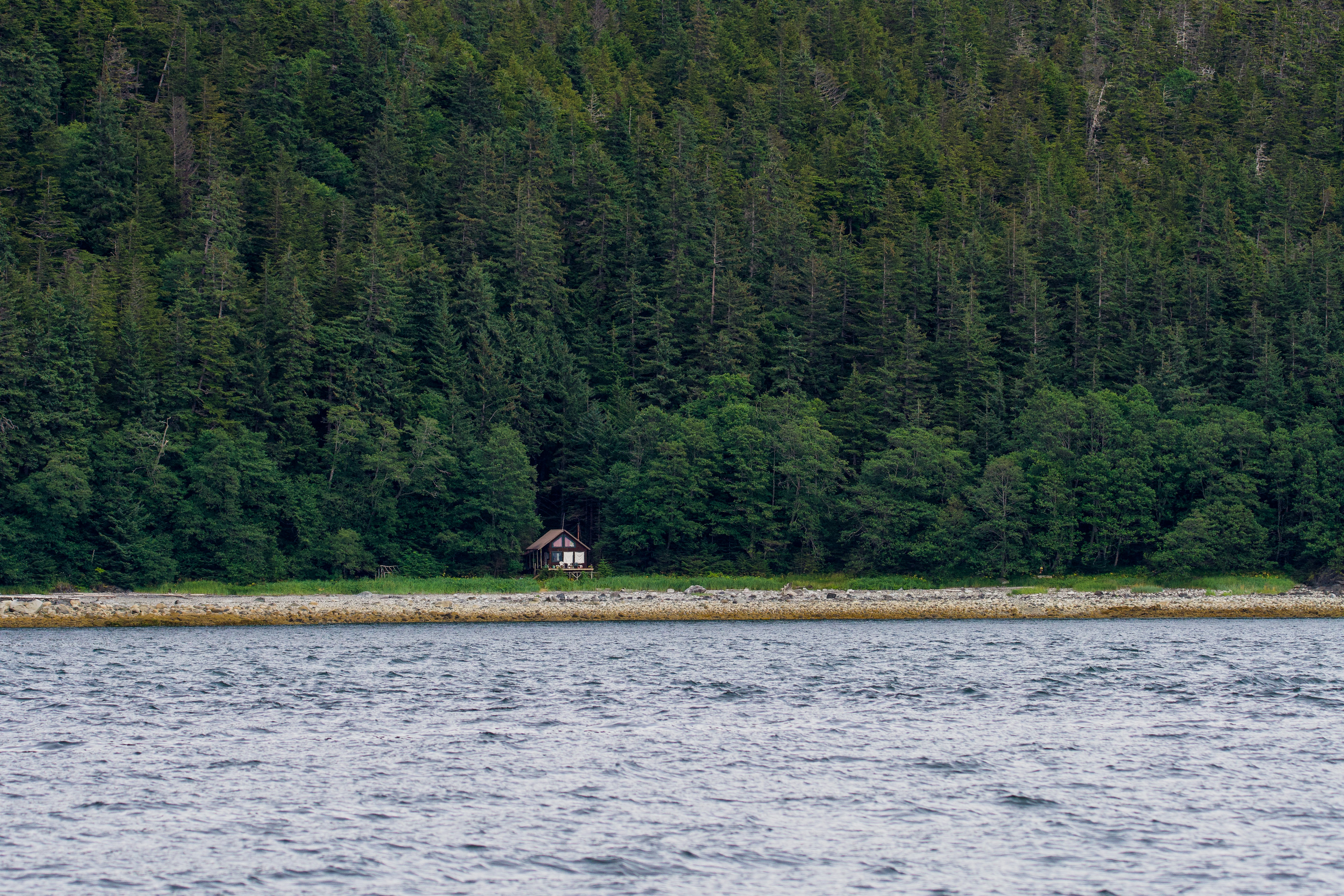 Photo by jackcharles