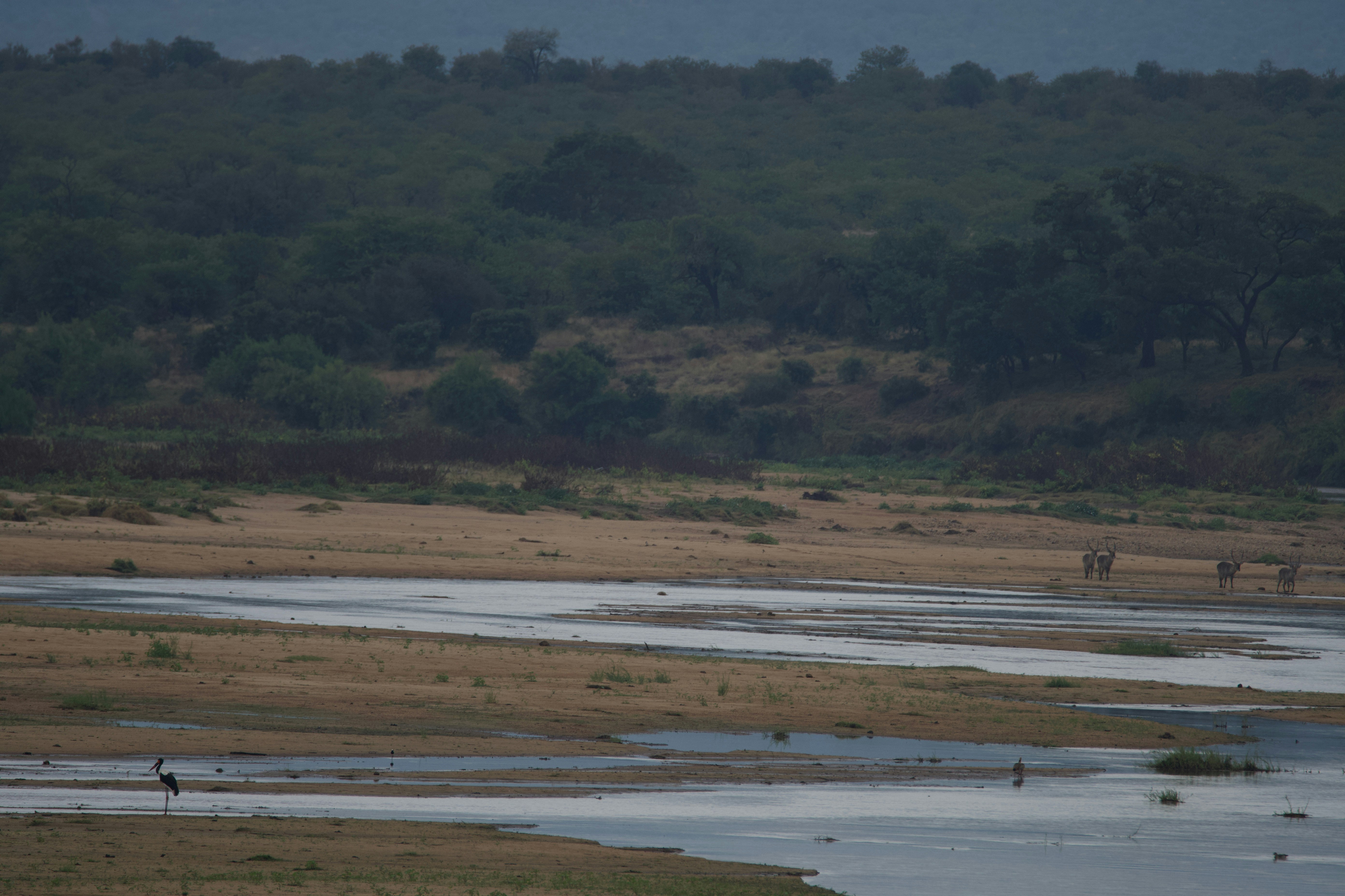 Photo by jackcharles