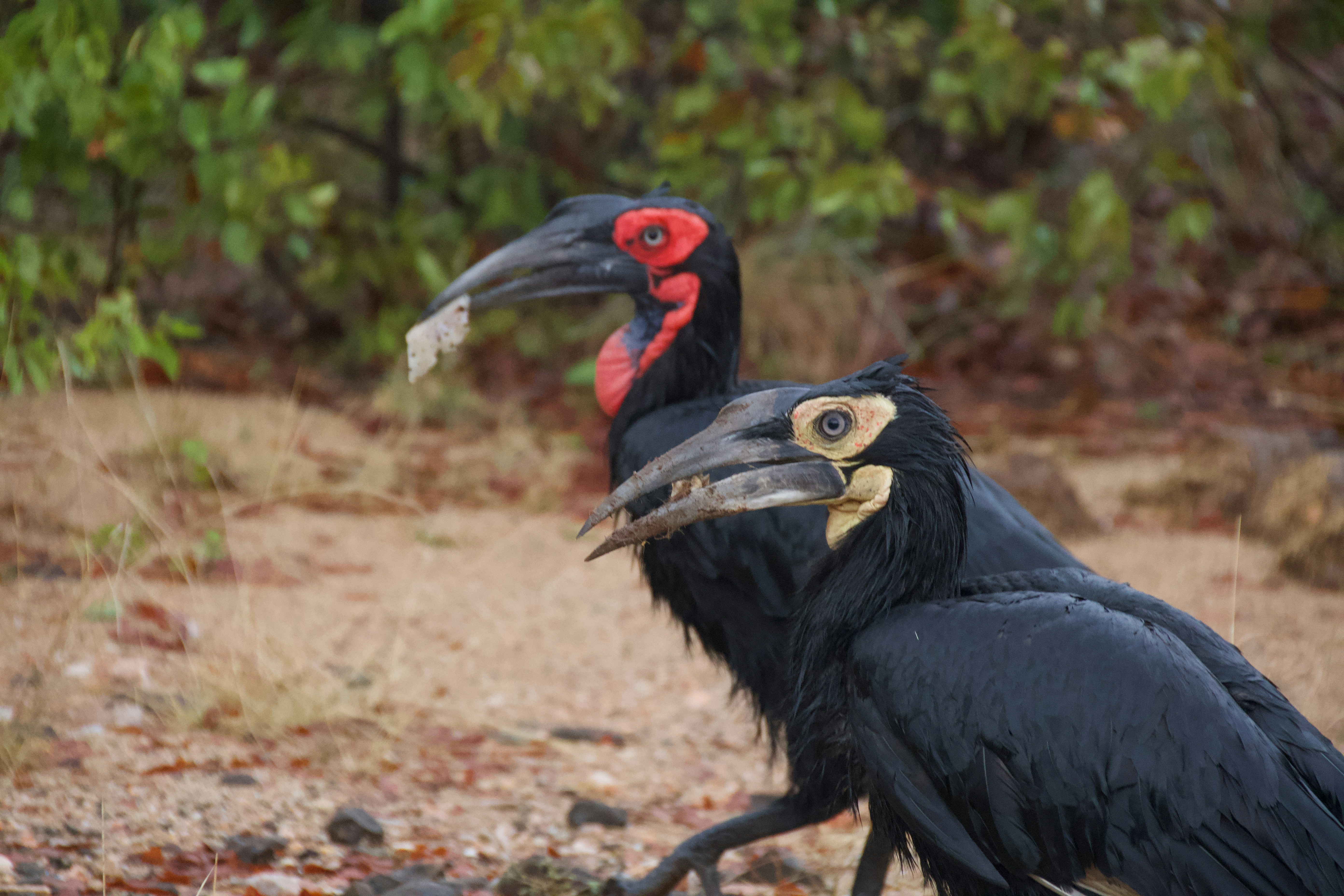 Photo by jackcharles