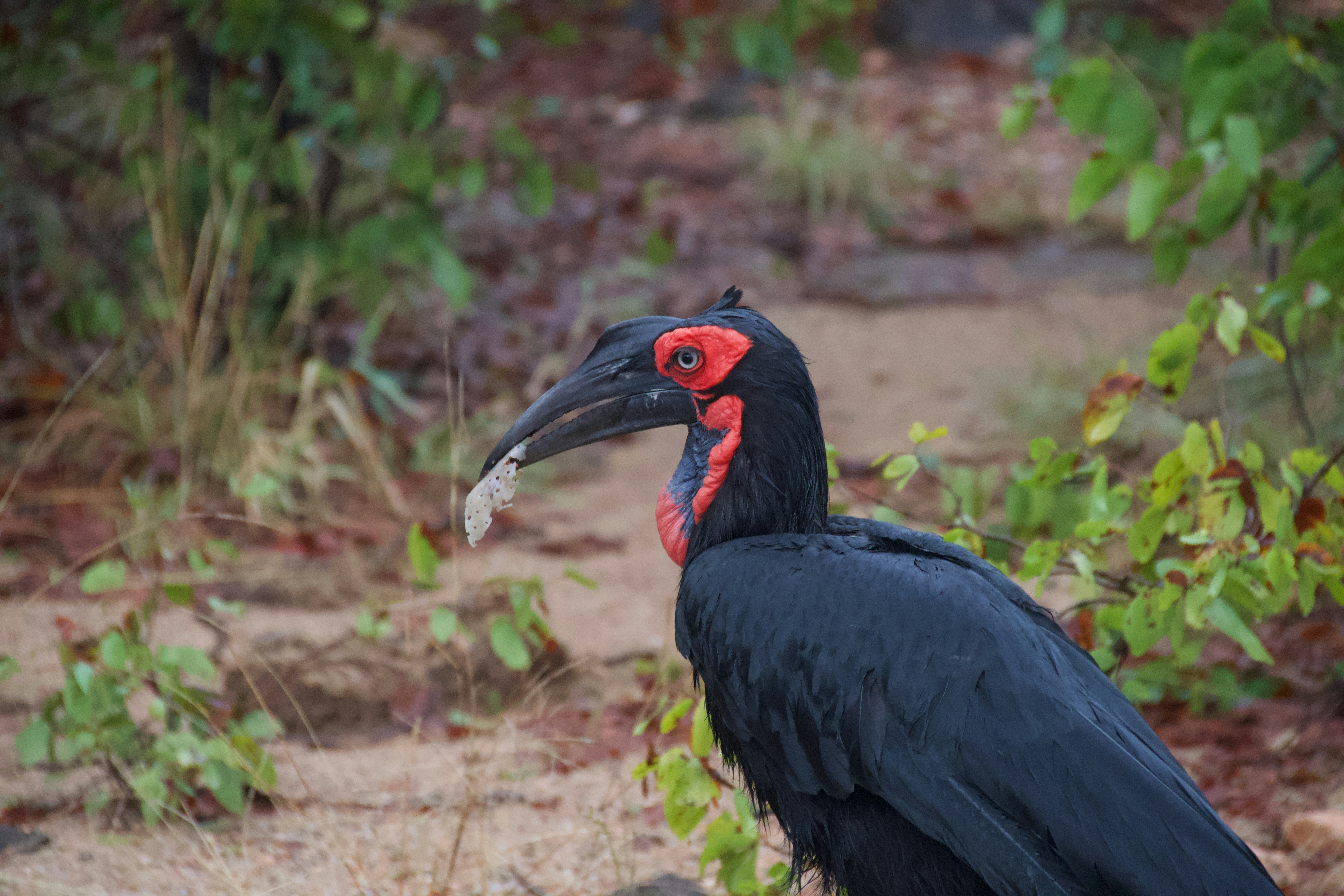 Photo by jackcharles