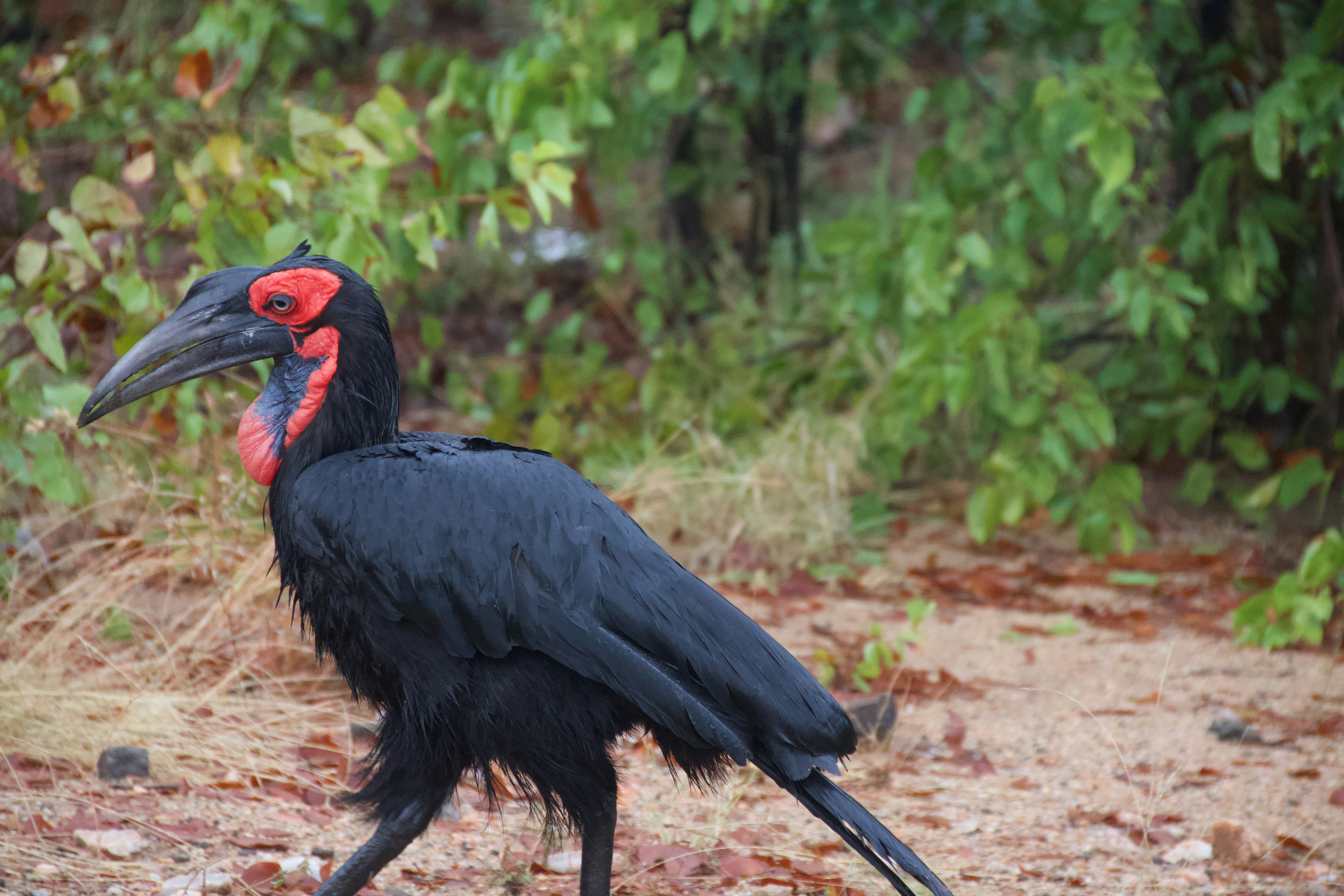 Photo by jackcharles