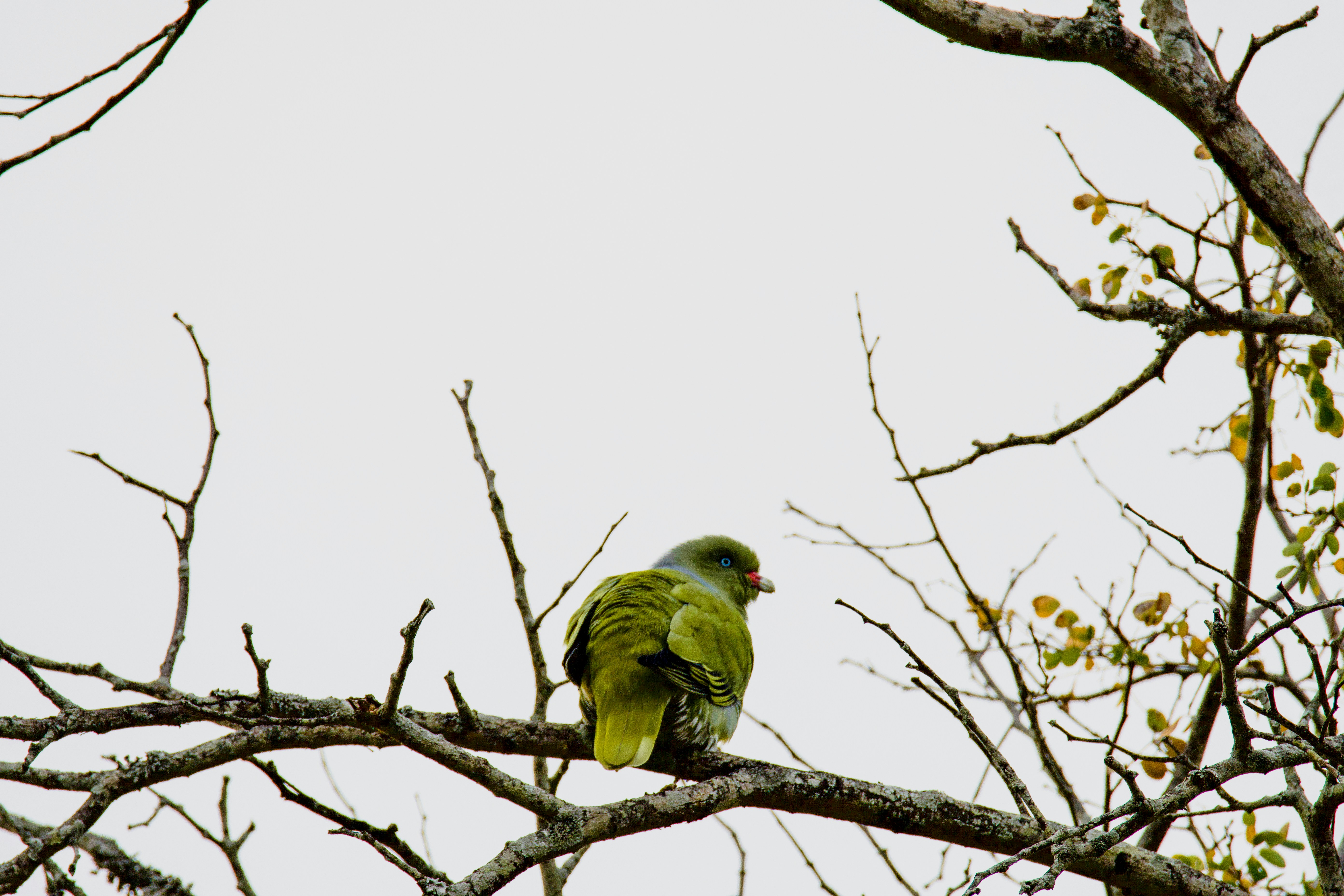 Photo by jackcharles