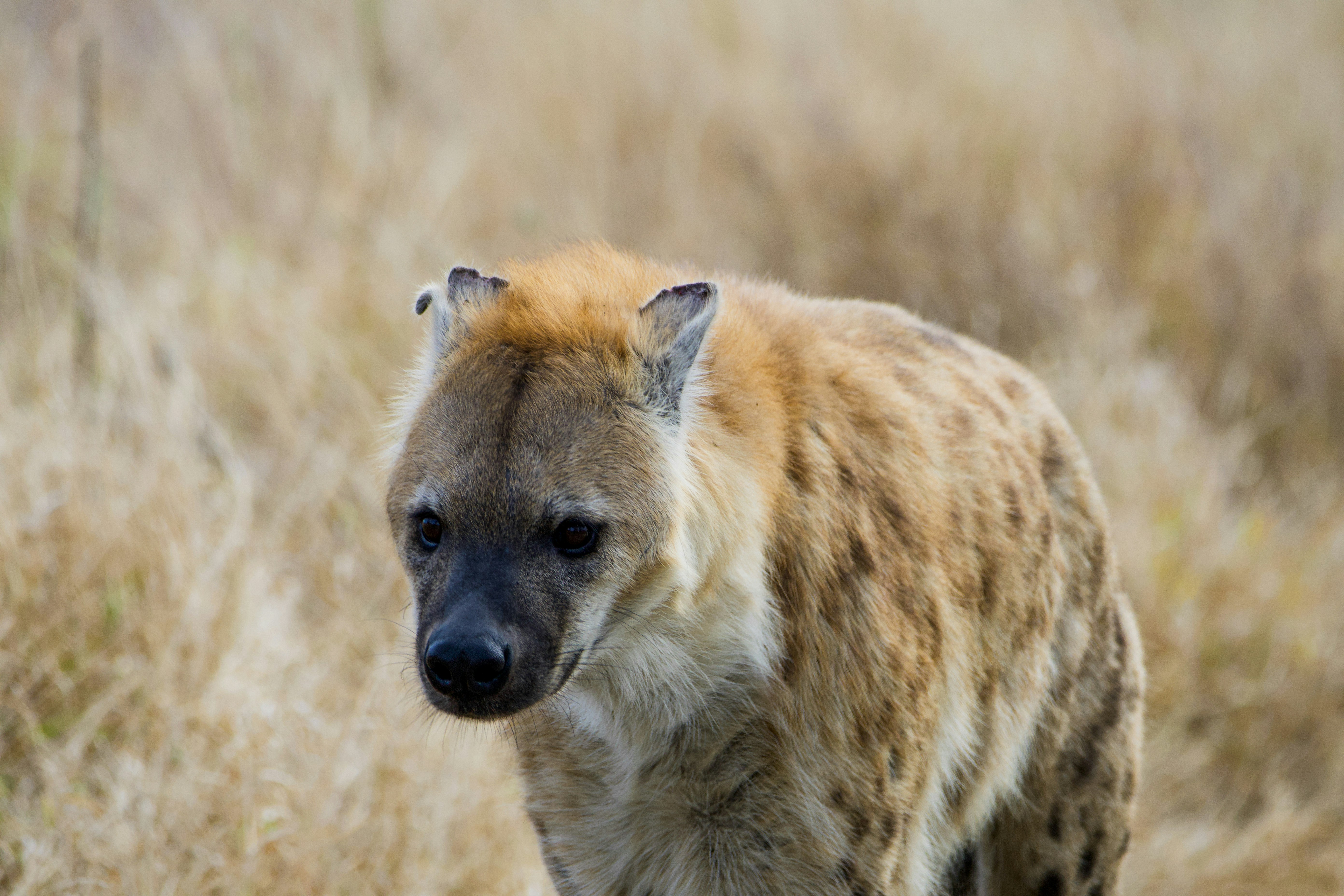 Photo by jackcharles