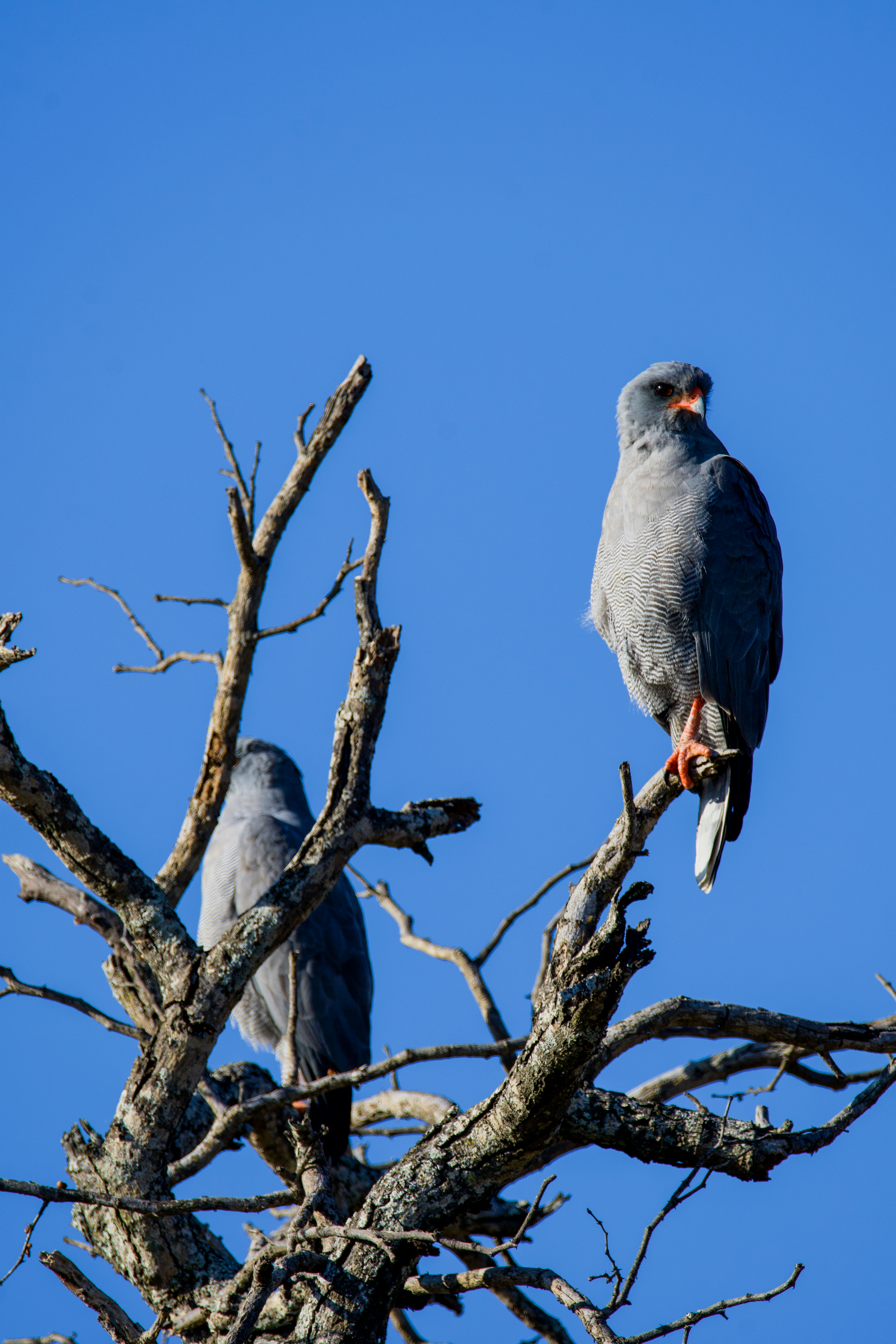 Photo by jackcharles