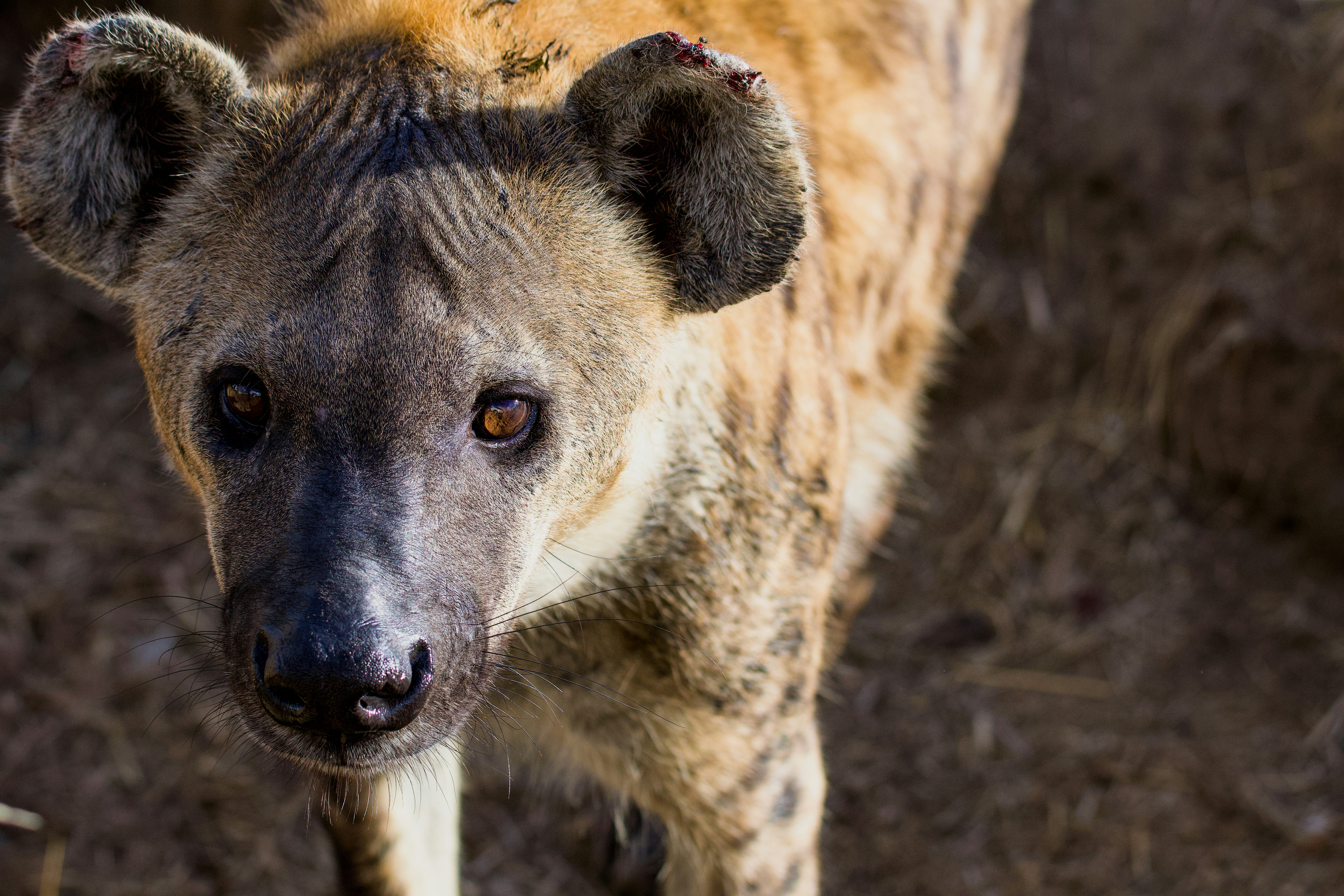 Photo by jackcharles