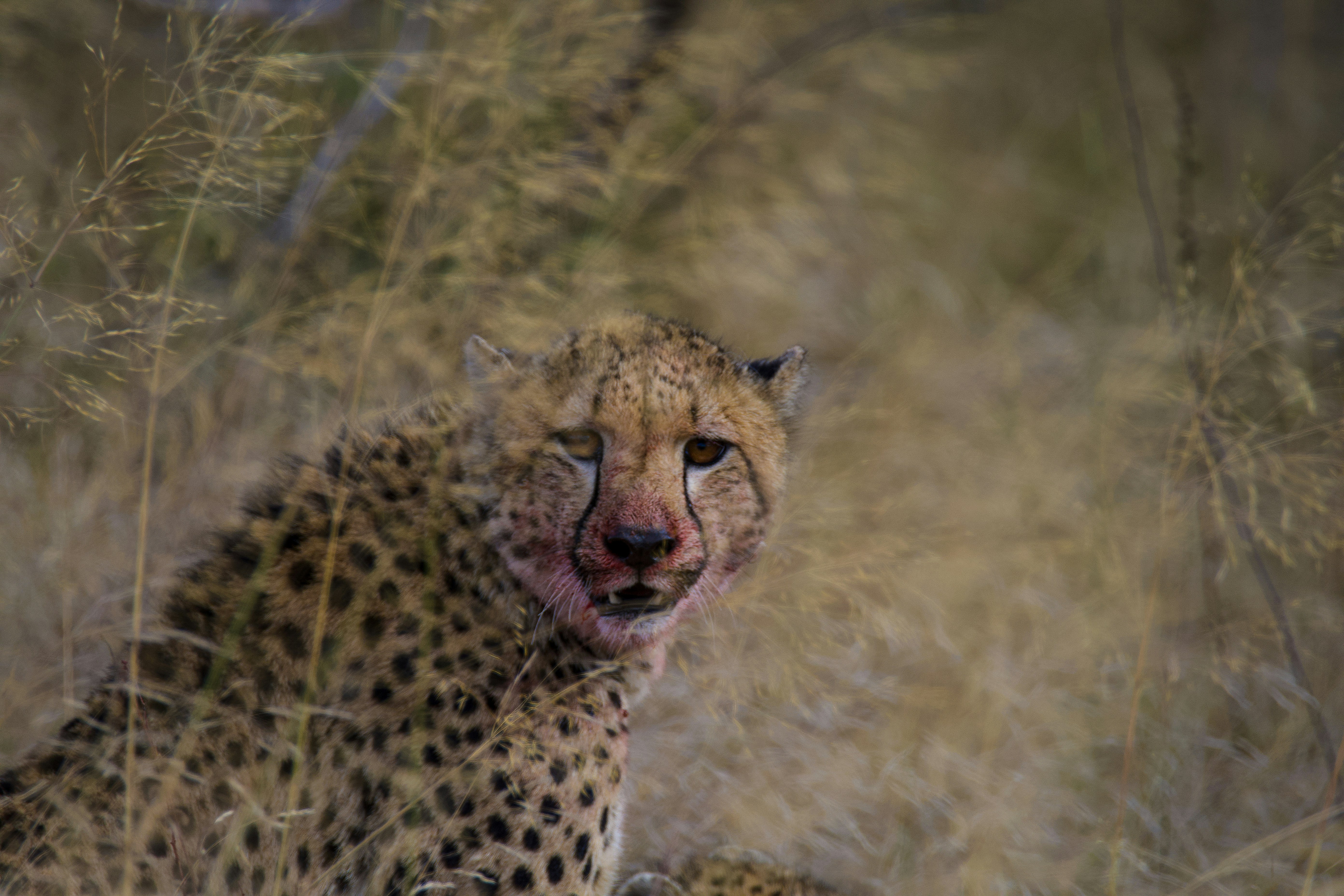 Photo by jackcharles