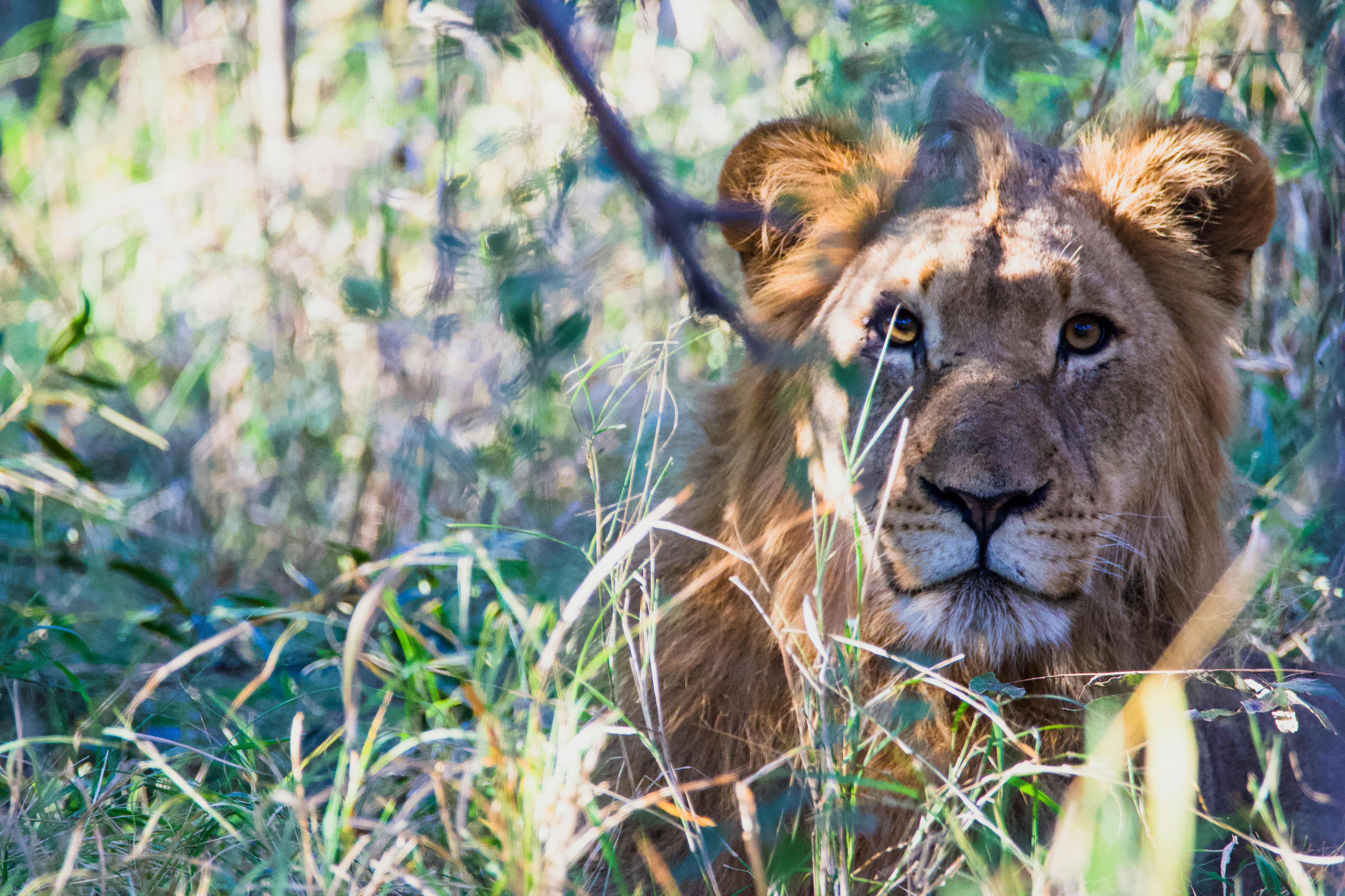 Photo by jackcharles