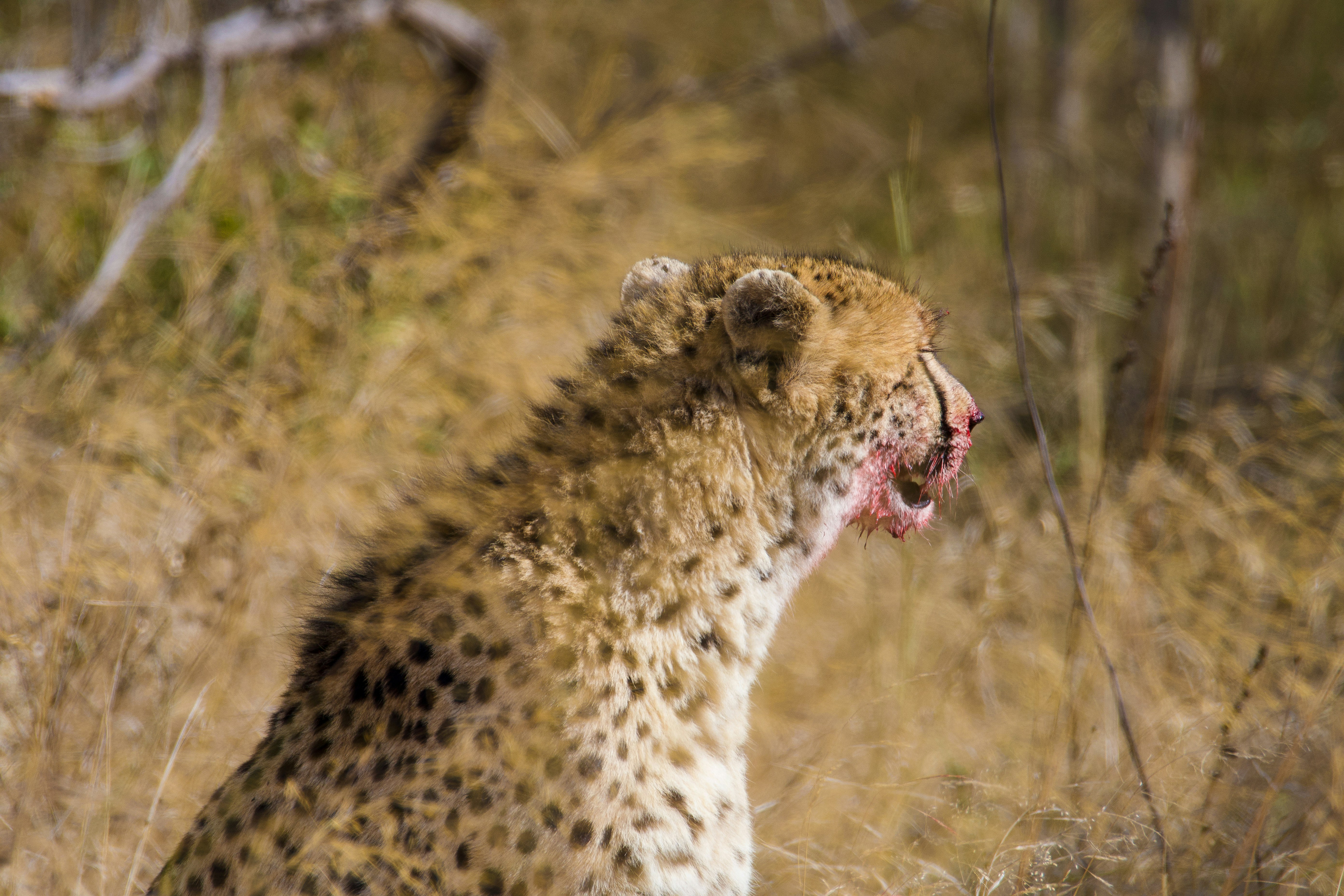 Photo by jackcharles