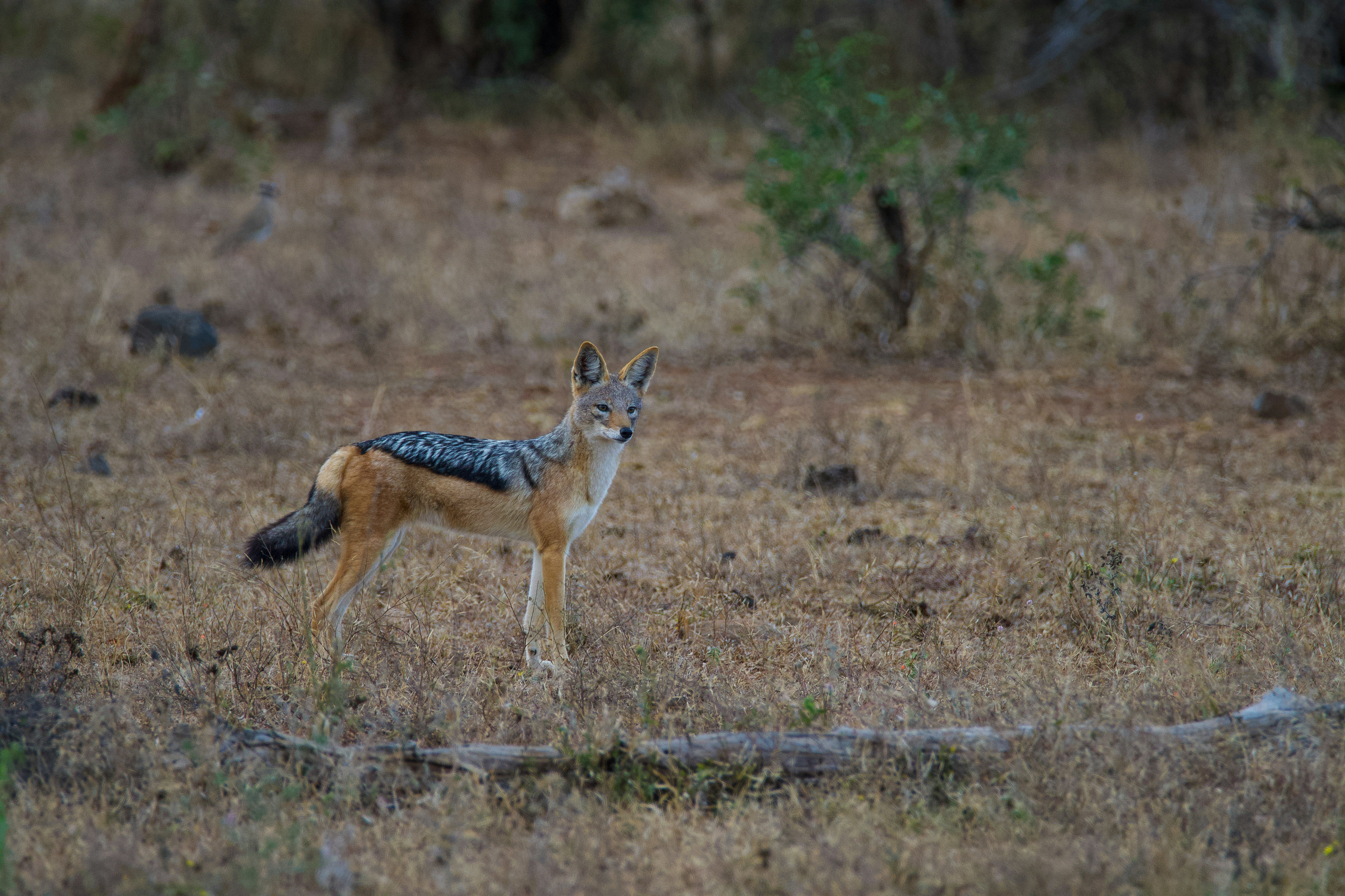 Photo by jackcharles