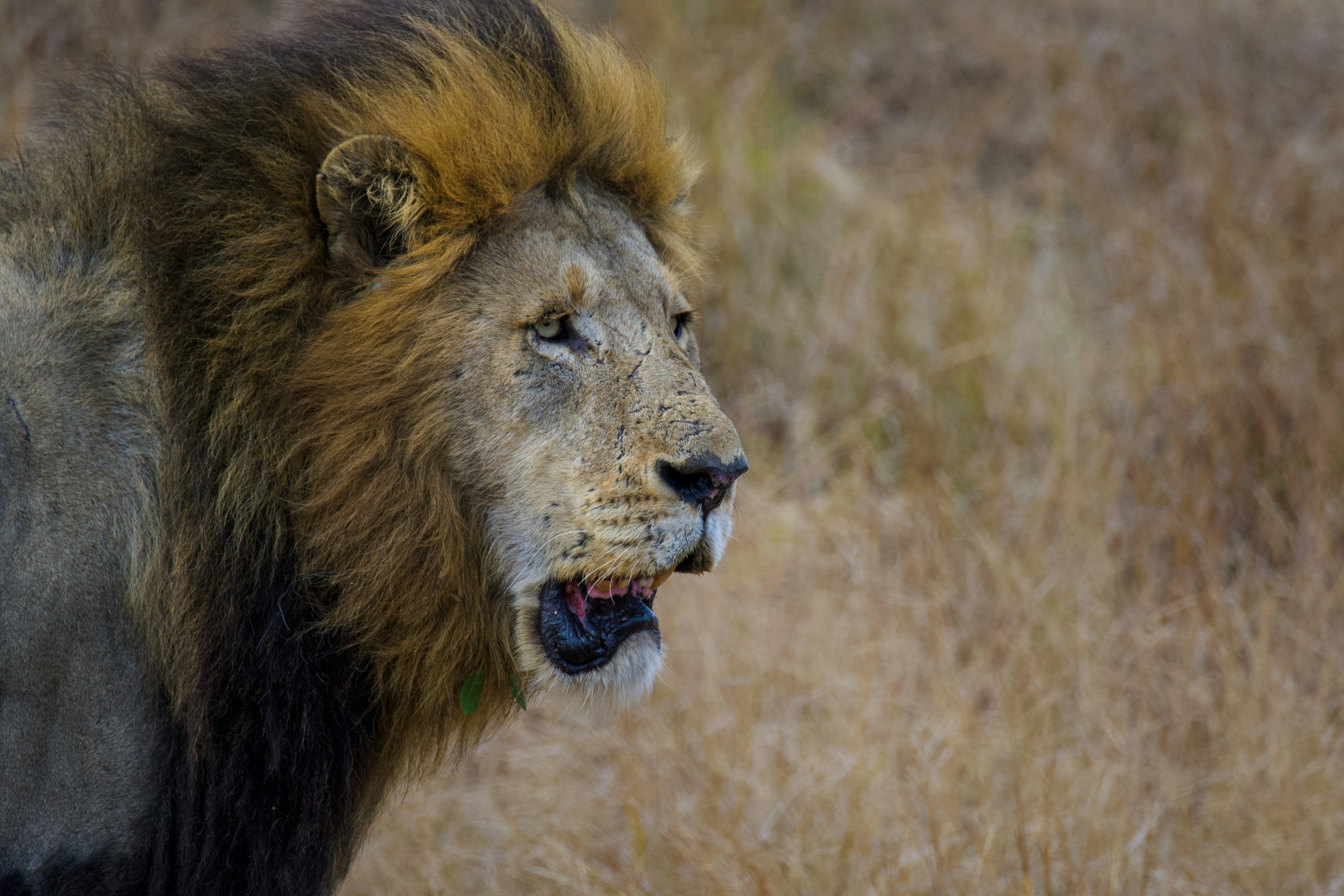 Photo by jackcharles