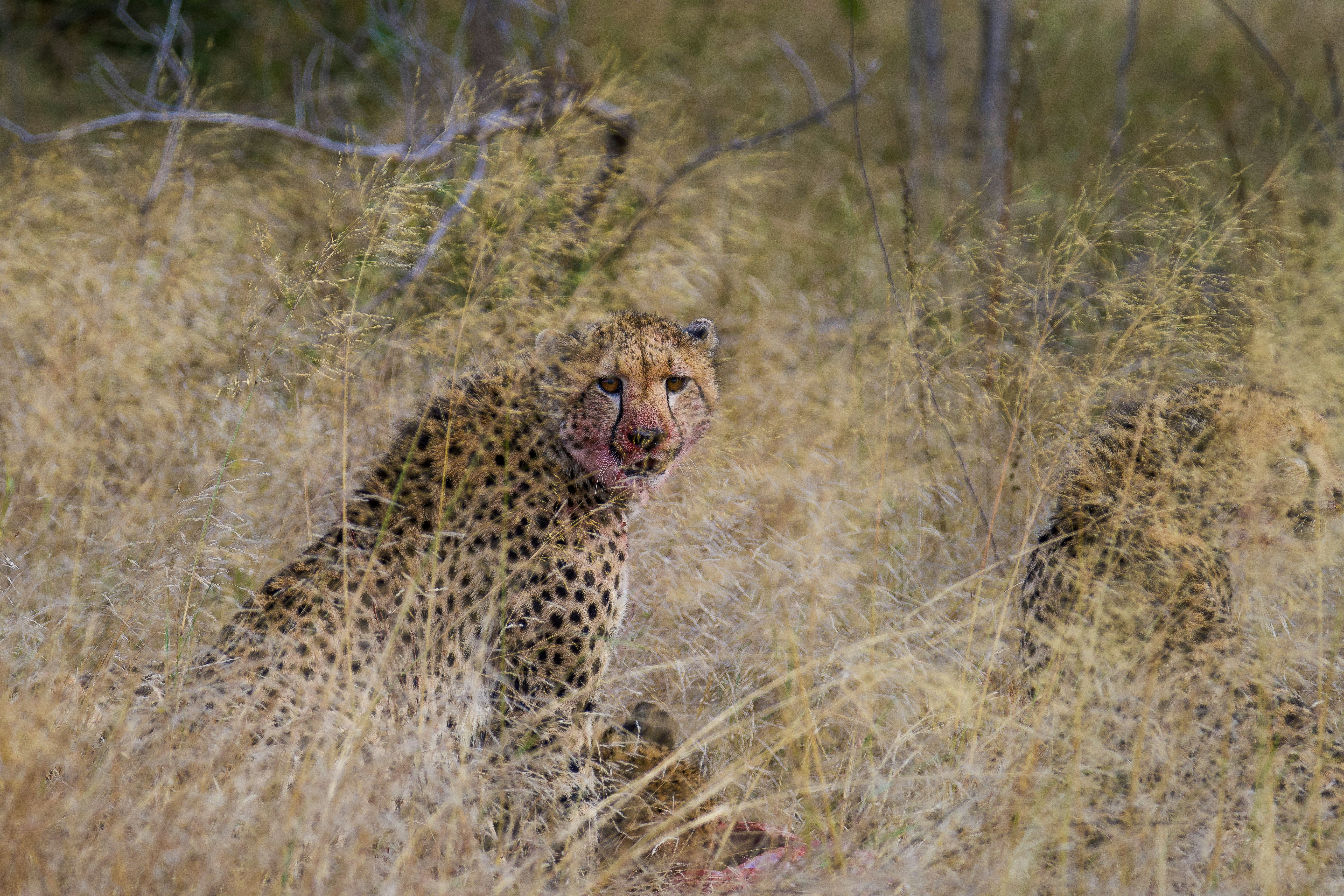 Photo by jackcharles