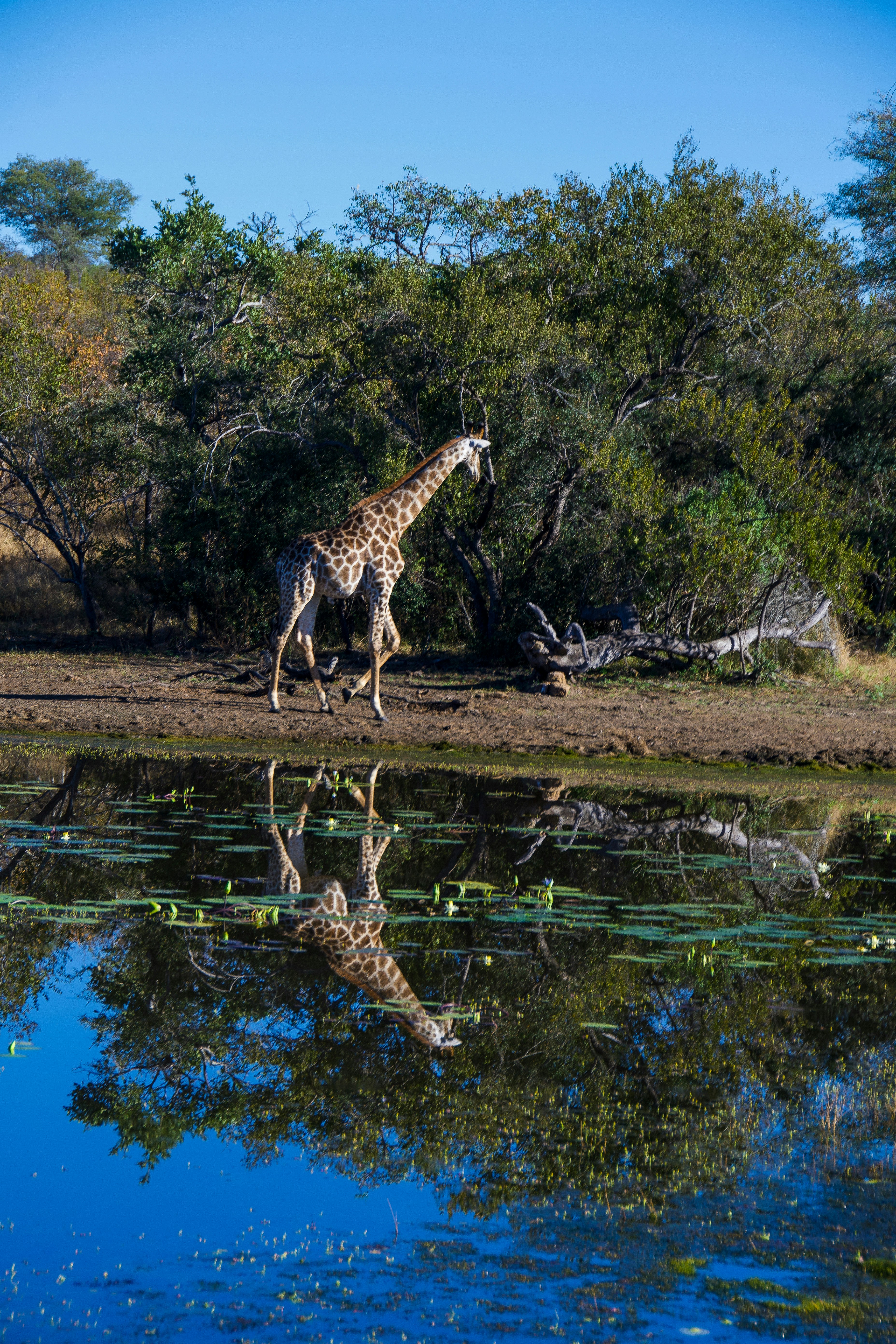 Photo by jackcharles