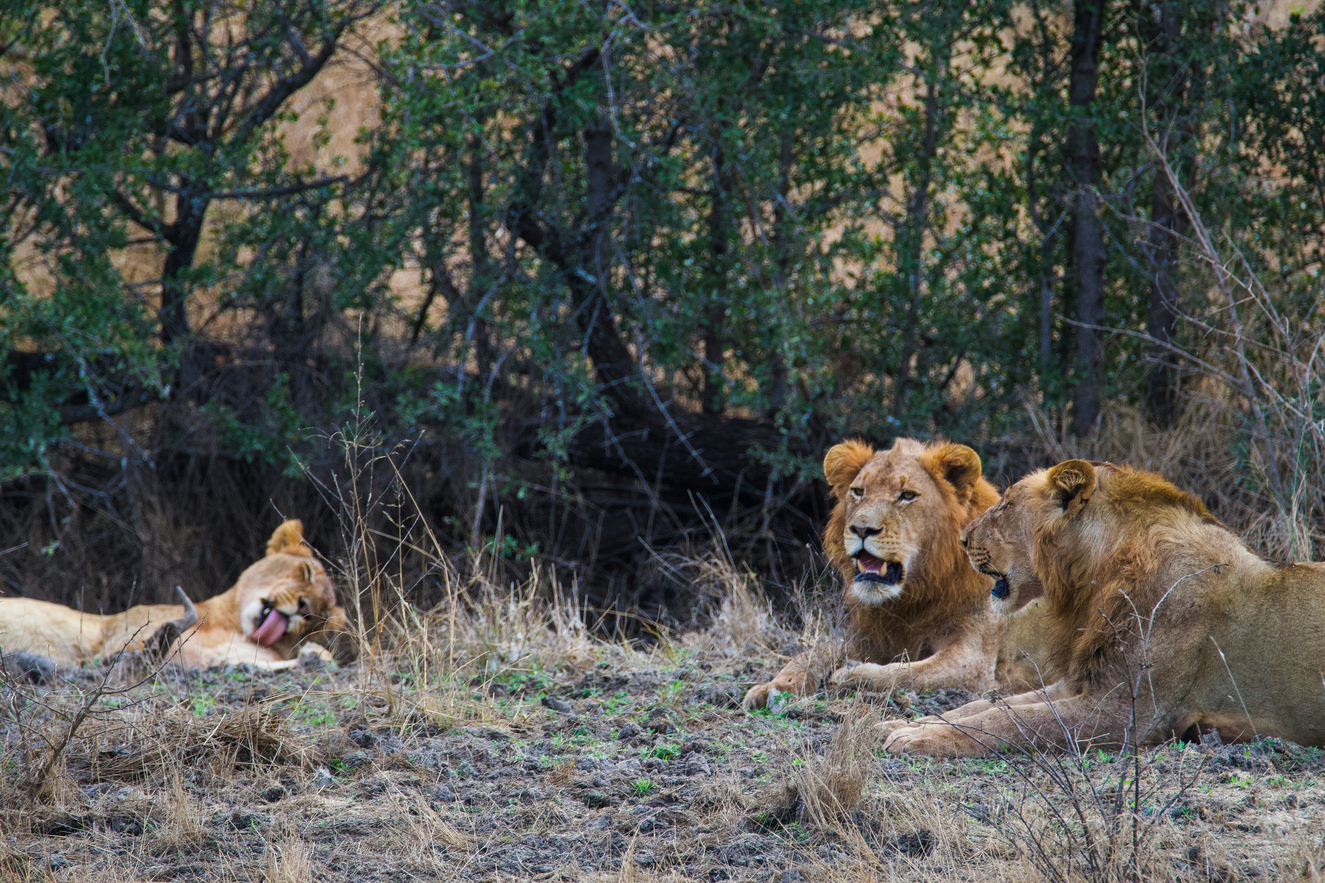 Photo by jackcharles