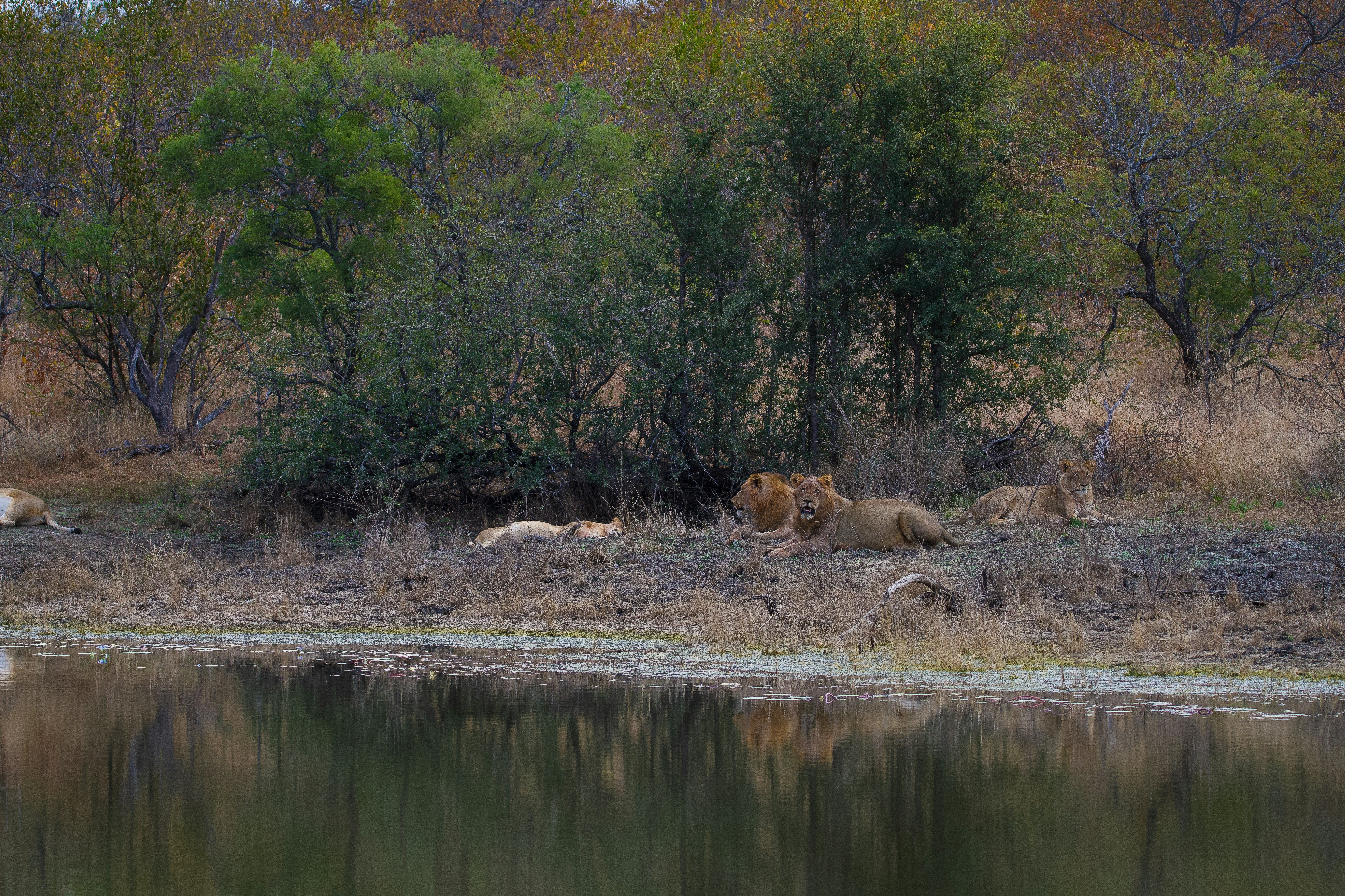 Photo by jackcharles