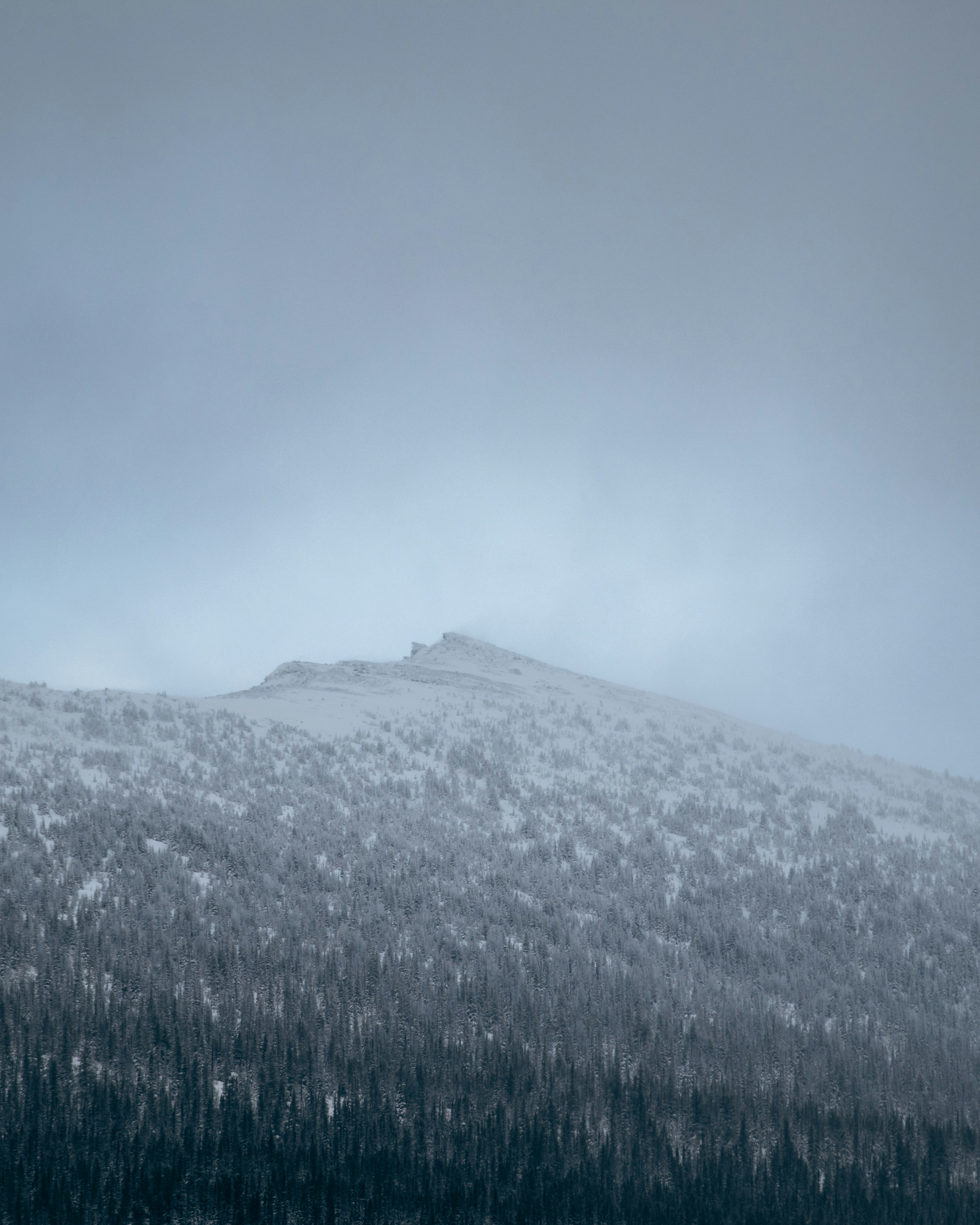 Photo by harsh_singh_c