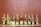 A collection of golden trophies with star designs displayed on a wooden surface. The trophies have various bases, some featuring red accents, and they appear to be awards given for special achievements.