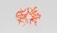 A complex, colorful molecular structure featuring a series of interconnected, swirling ribbons in red and orange hues against a light gray background. The ribbons curve and intertwine in a symmetrical pattern, resembling a detailed scientific illustration.
