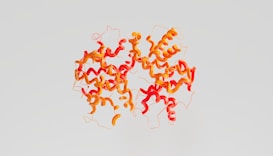 A complex, colorful molecular structure featuring a series of interconnected, swirling ribbons in red and orange hues against a light gray background. The ribbons curve and intertwine in a symmetrical pattern, resembling a detailed scientific illustration.