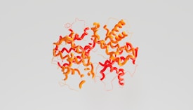A complex, colorful molecular structure featuring a series of interconnected, swirling ribbons in red and orange hues against a light gray background. The ribbons curve and intertwine in a symmetrical pattern, resembling a detailed scientific illustration.