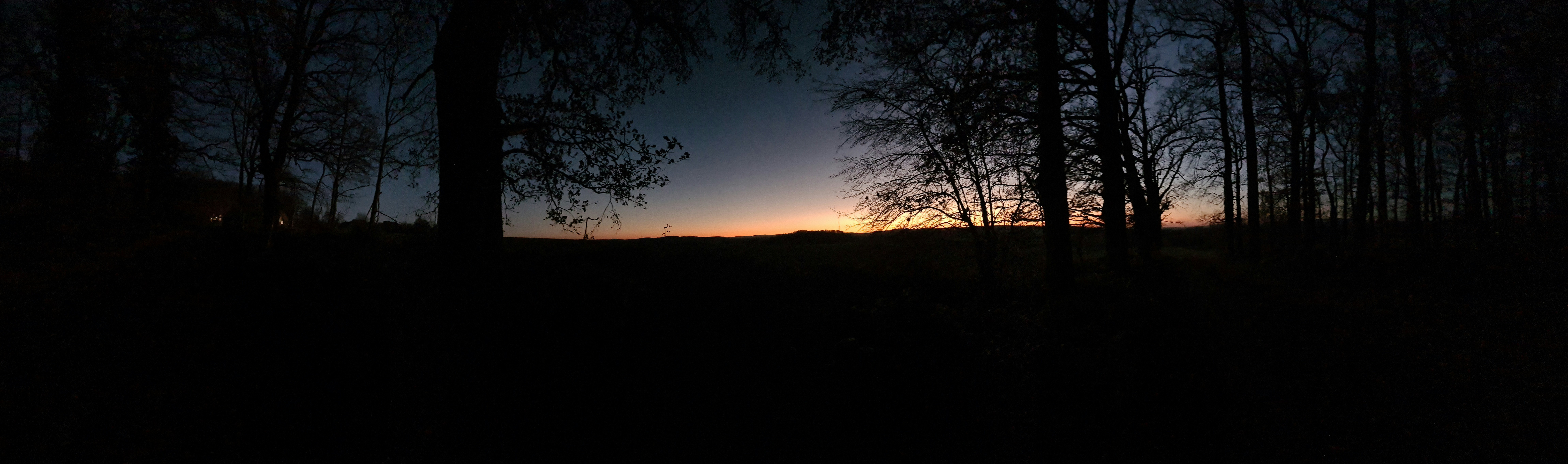 Photo by baumschwalbe