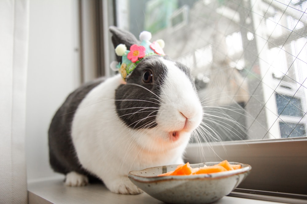 a black and white rabbit wearing a flower crown next to a bowl of carrots