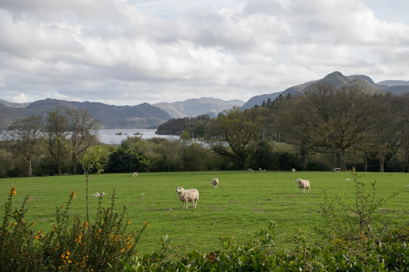 Two-bedroom farm cottage at the foot of Blencathra