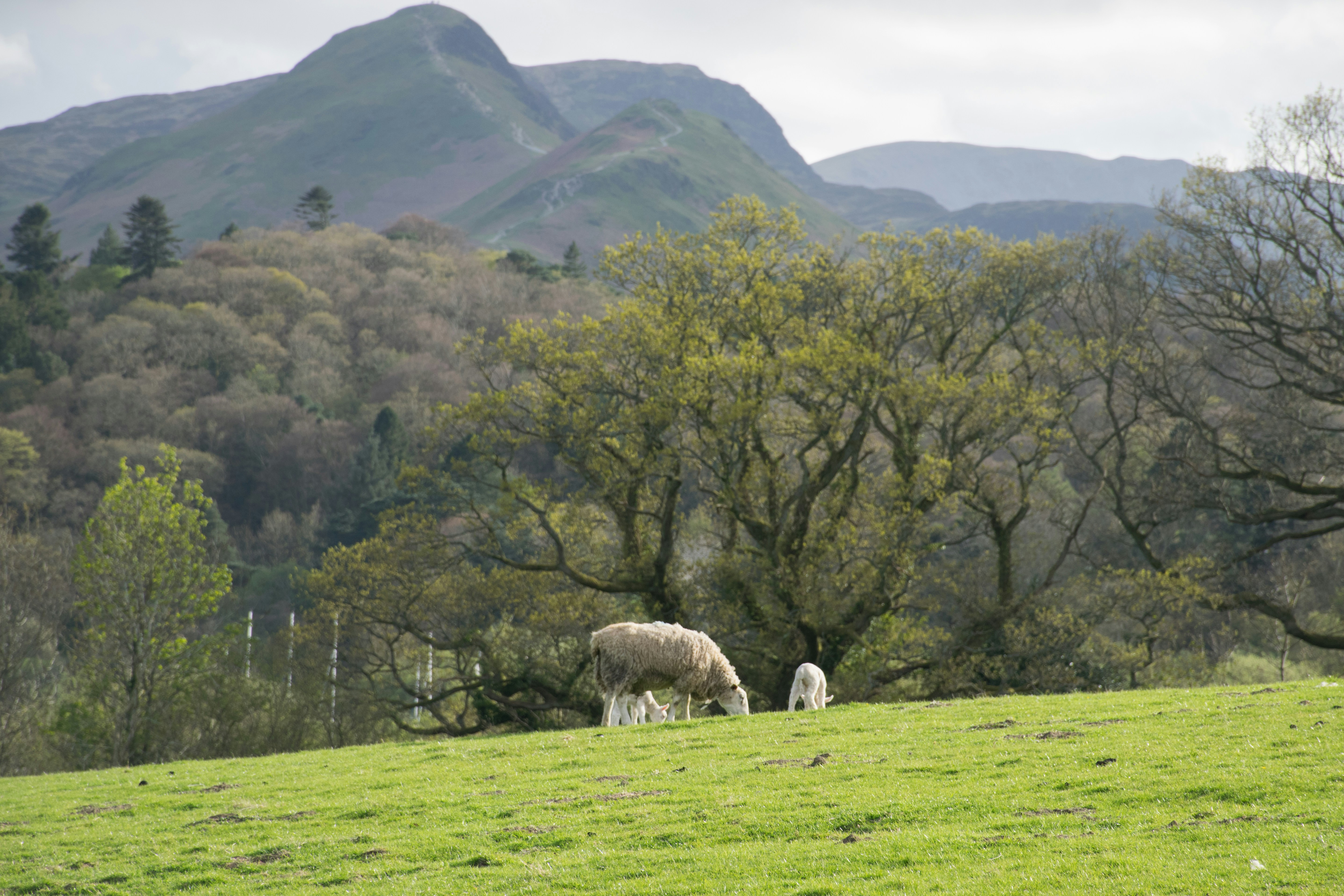 Photo by veronicaa_white