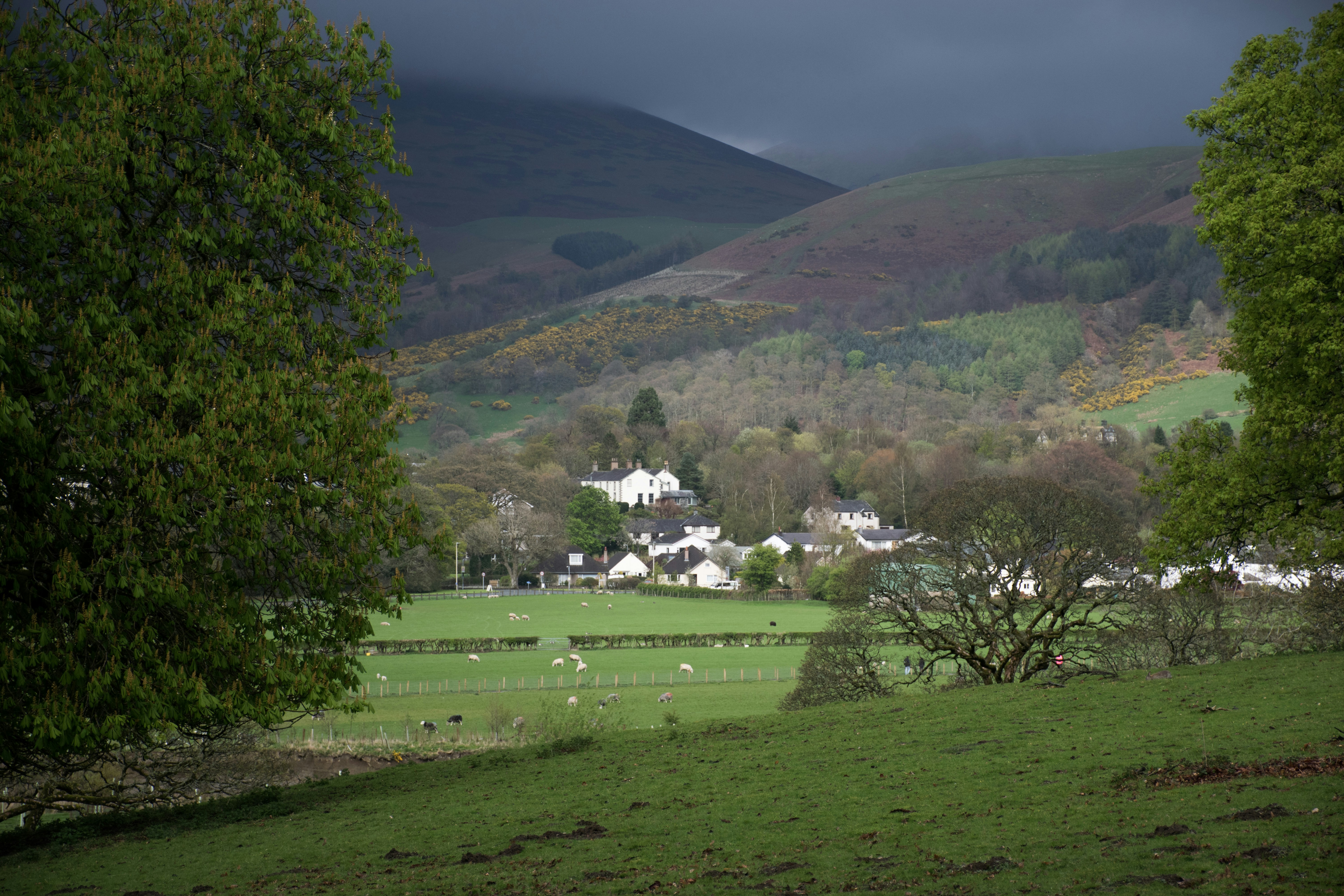 Photo by veronicaa_white