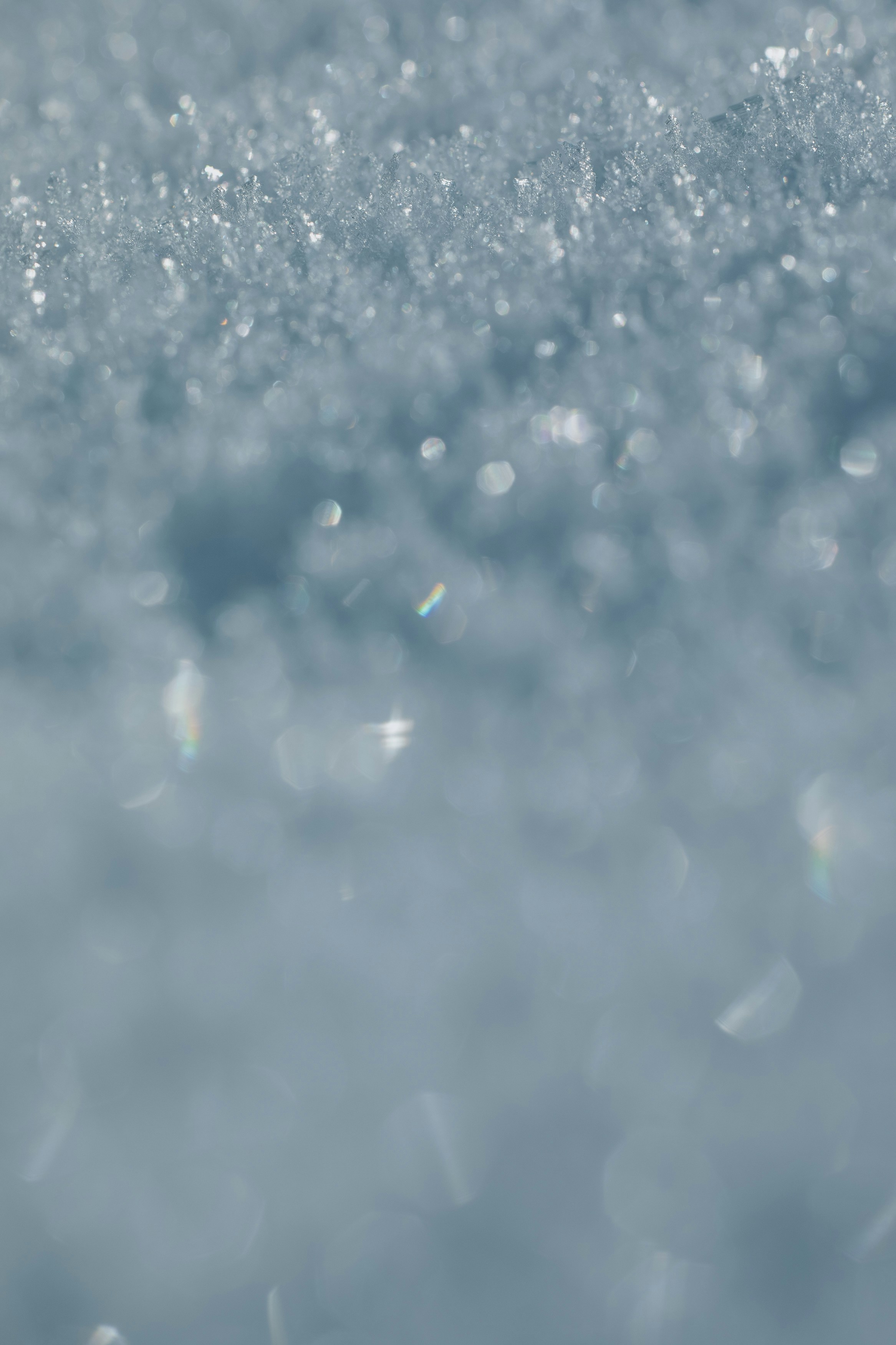 Photo by markusspiske