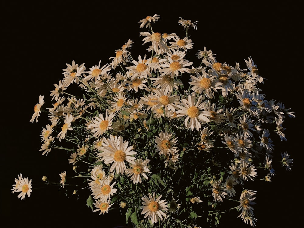 a vase filled with lots of white and yellow flowers