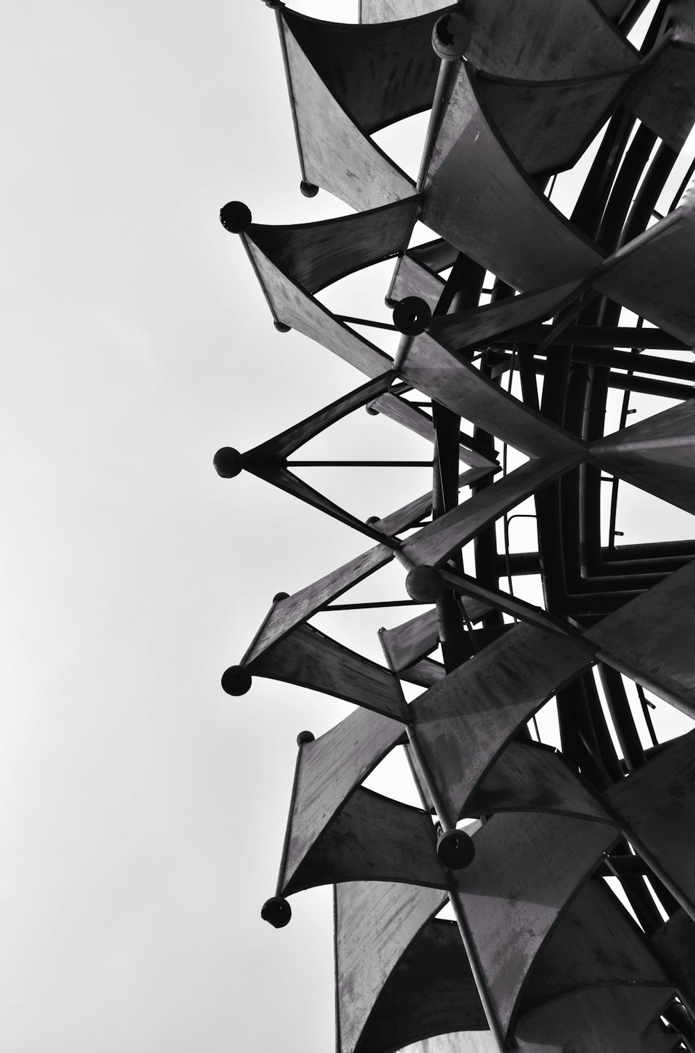 a black and white photo of a bunch of umbrellas