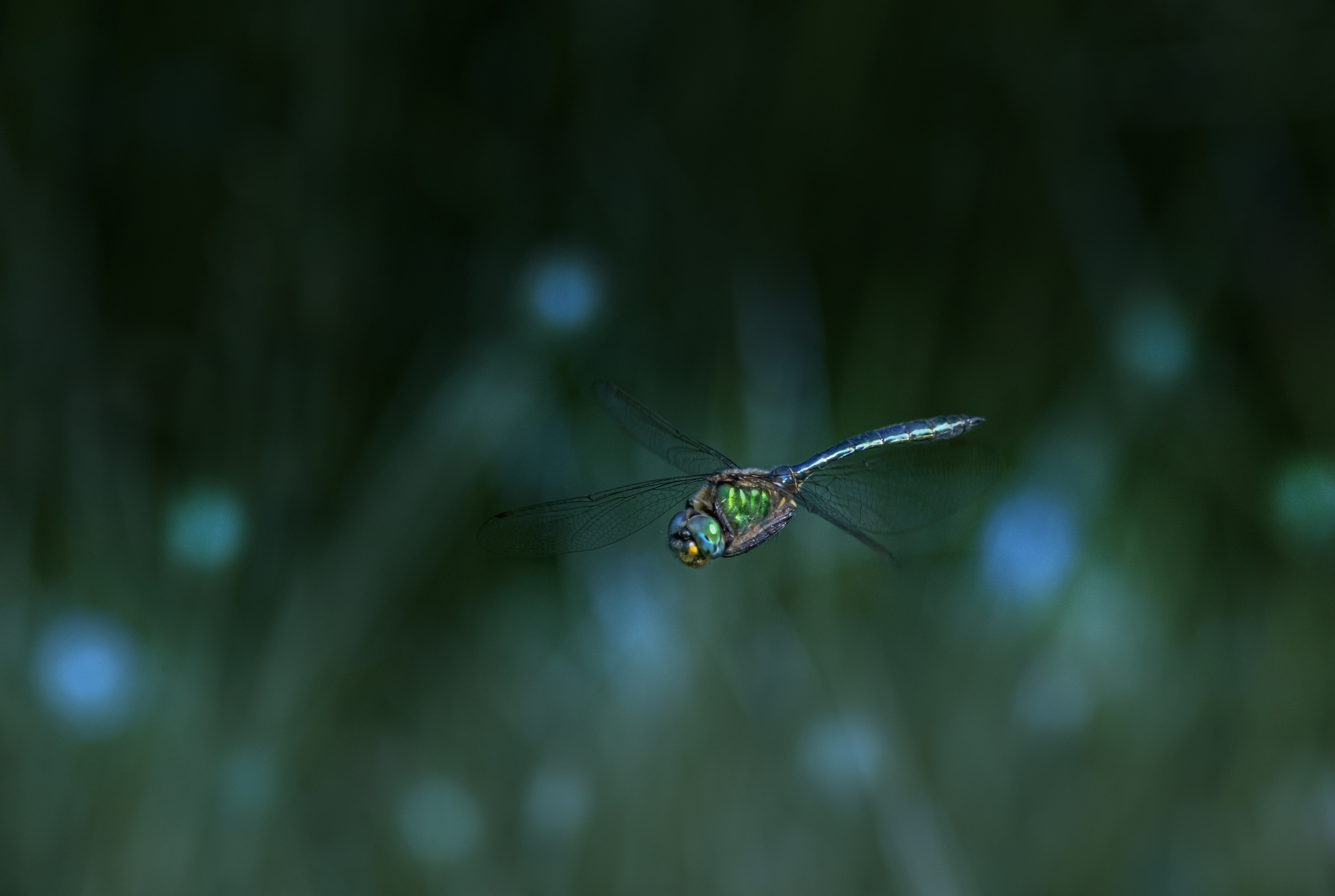 Photo by erik_karits