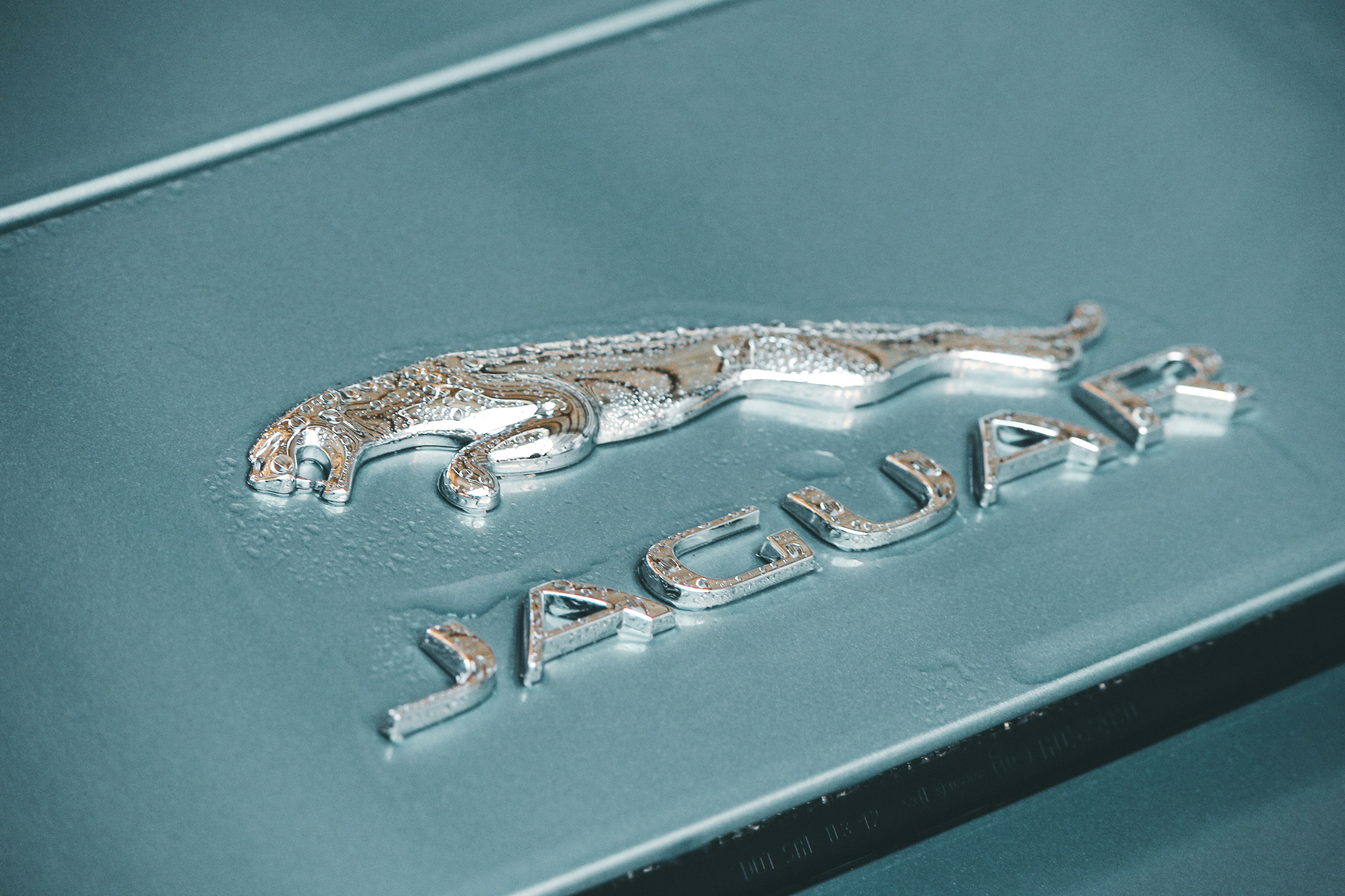 Jaguar Wallpaper 4K, Logo, Pastel green, 5K, Matte, image size:3000x2000