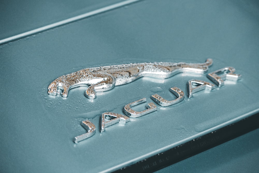 a close up of a jaguar logo on a car