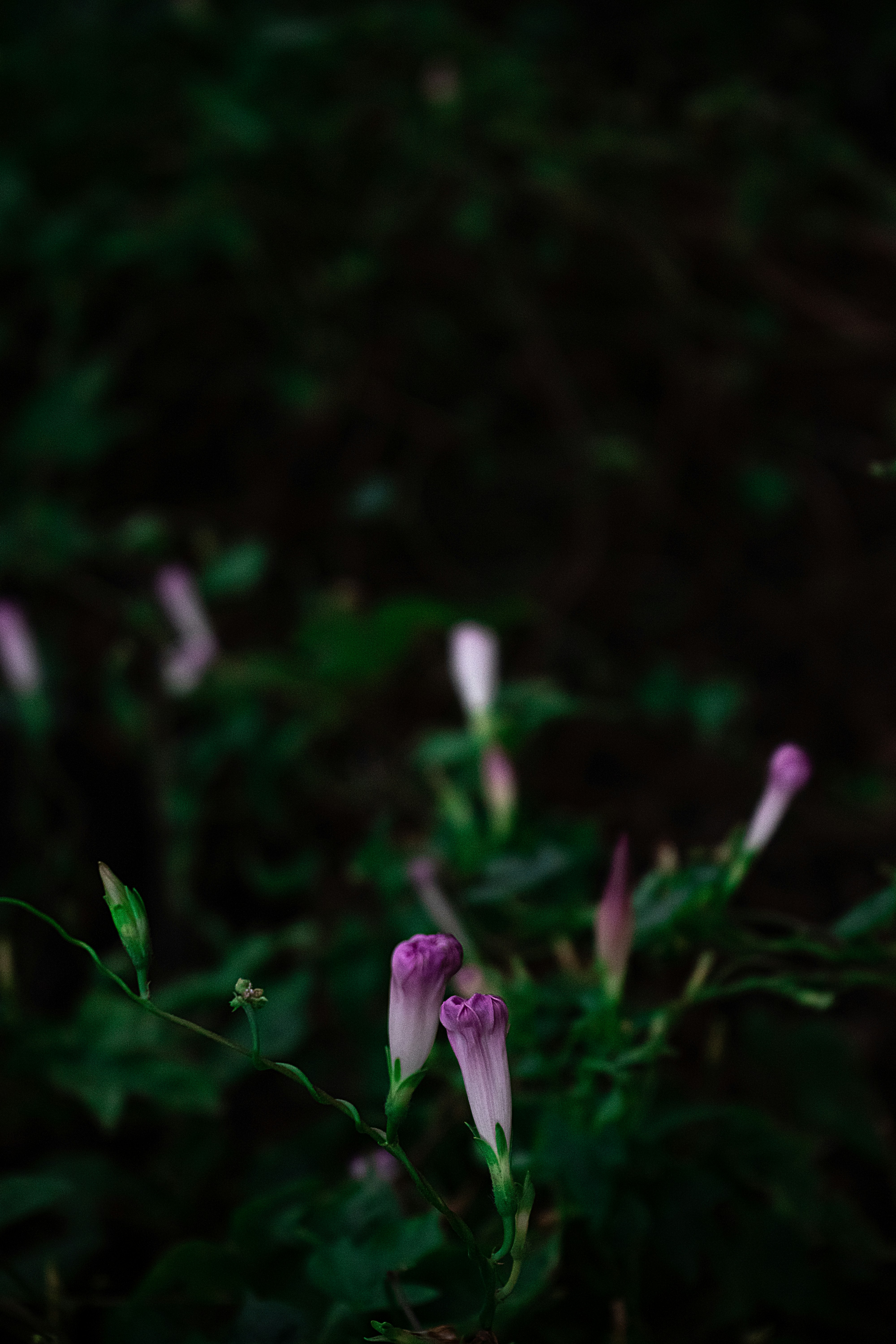 Photo by photoschriss