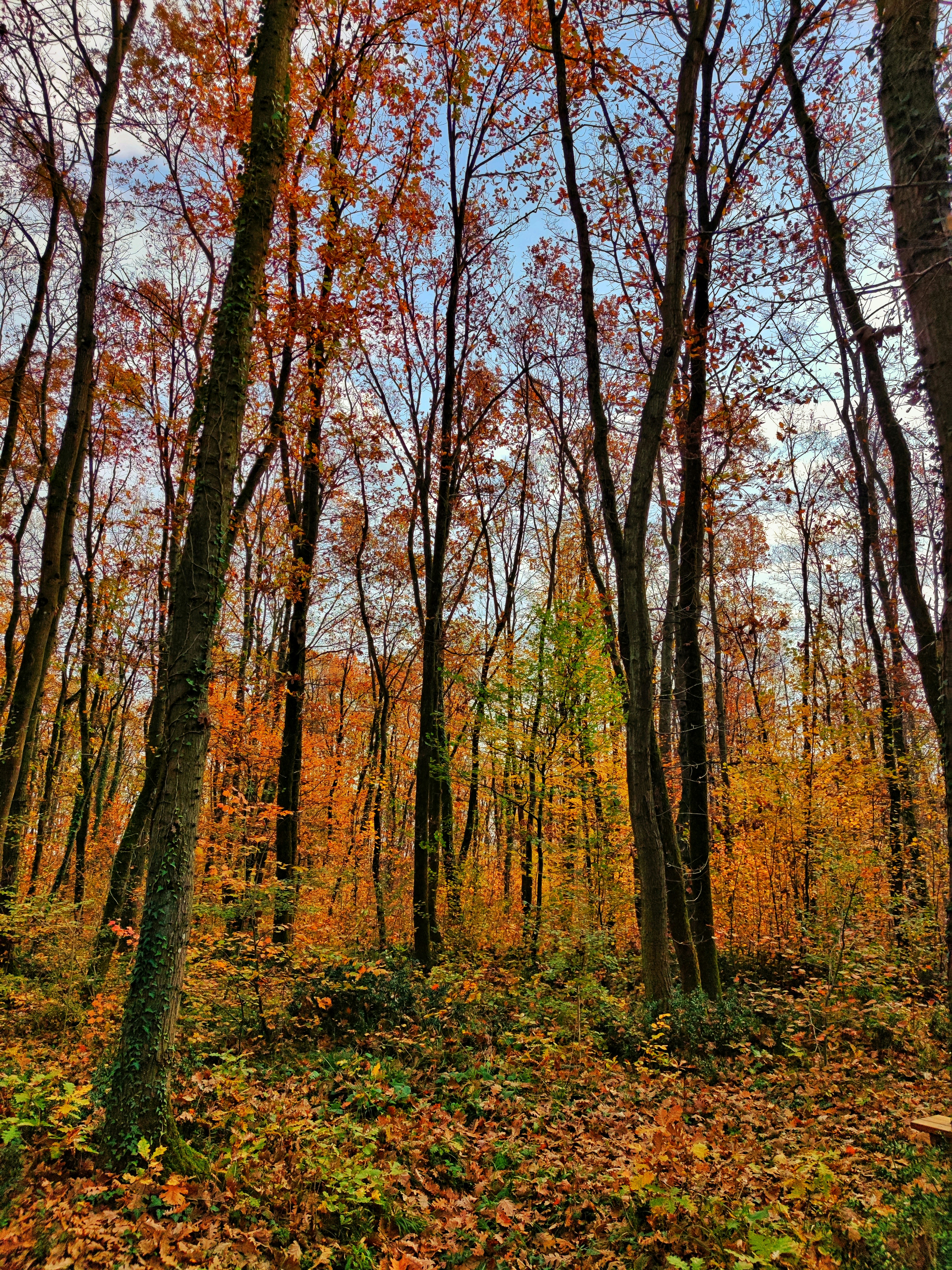 Photo by renkgezgini