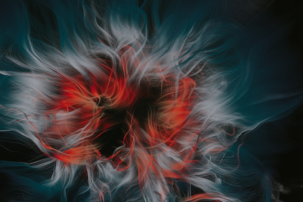 a digital painting of a red and white flower